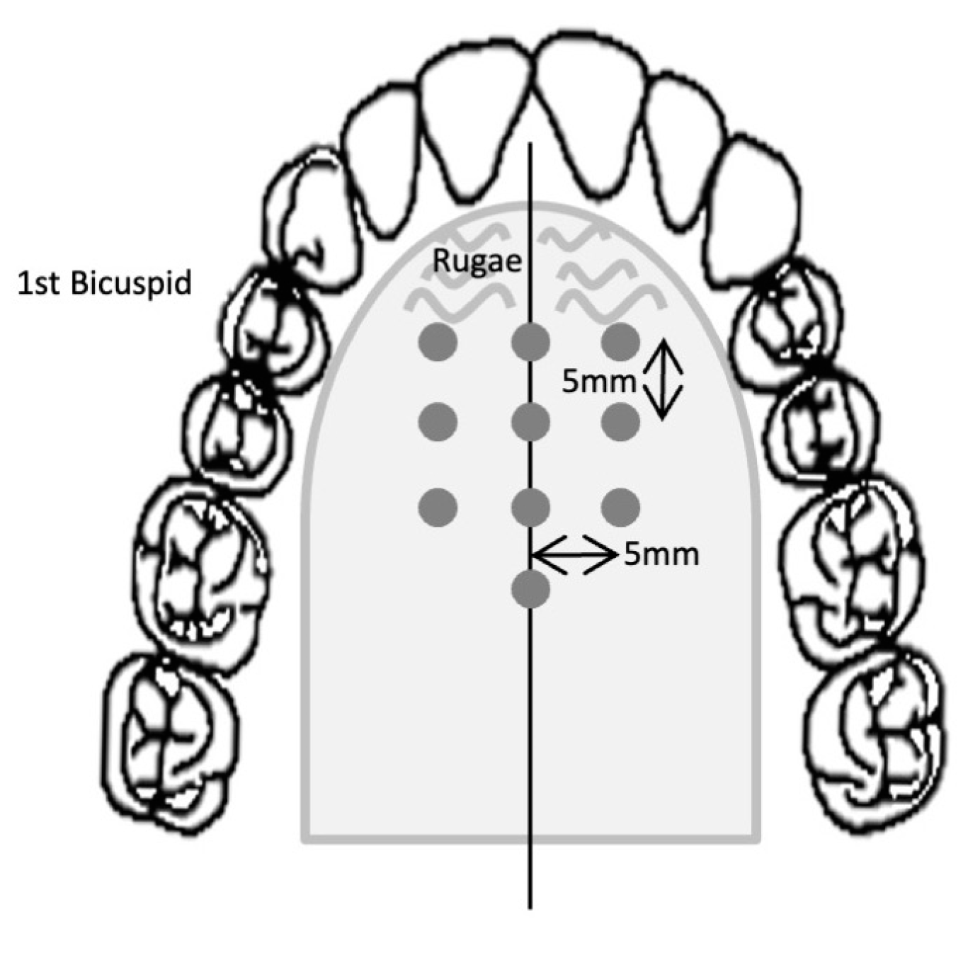 Applsci 13 09162 g001 Applsci 13 09162 g001