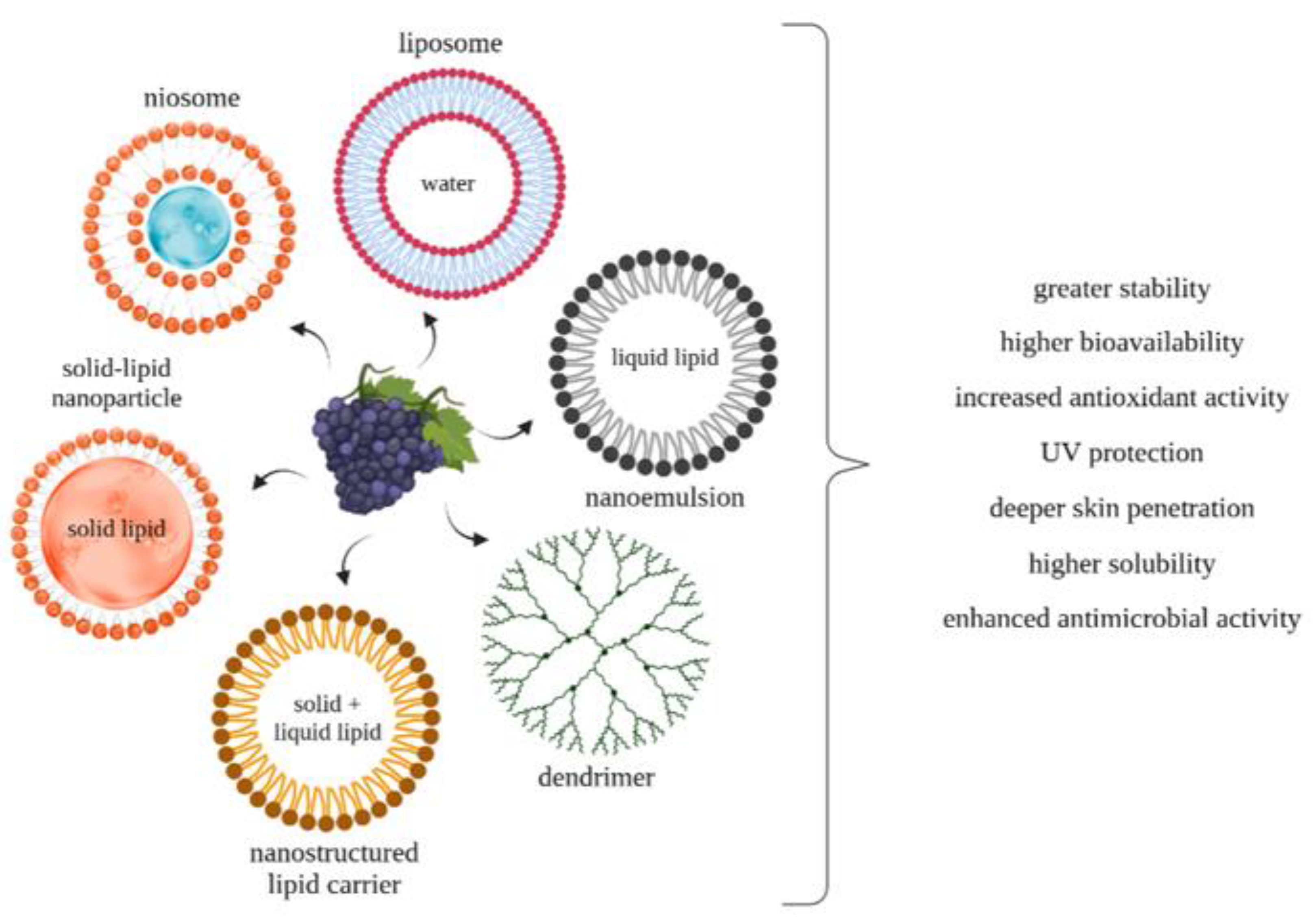 Applsci 13 09168 g003 Applsci 13 09168 g003