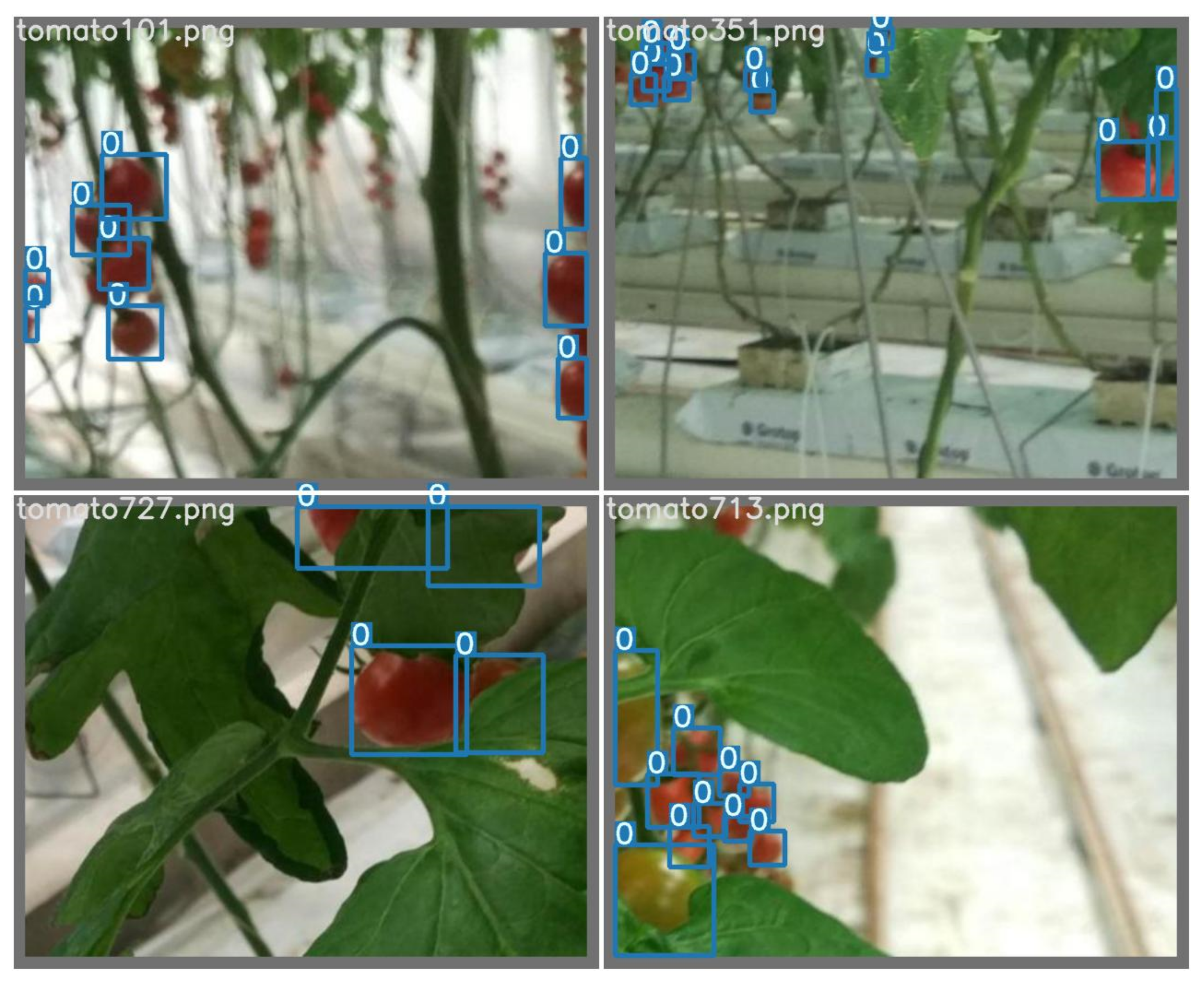 Applsci 13 09173 g006