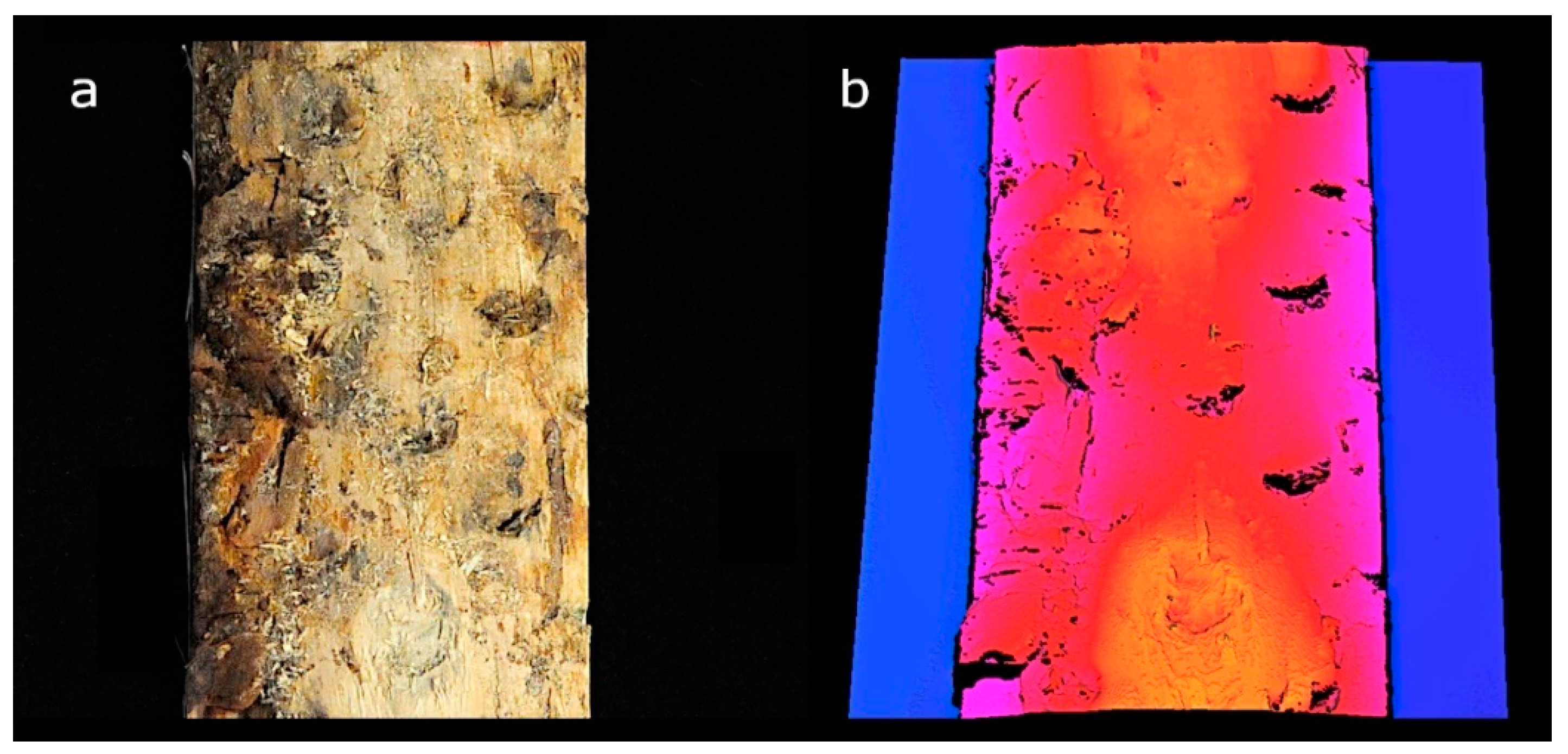 The Quality Control System of Planks Using Machine Vision