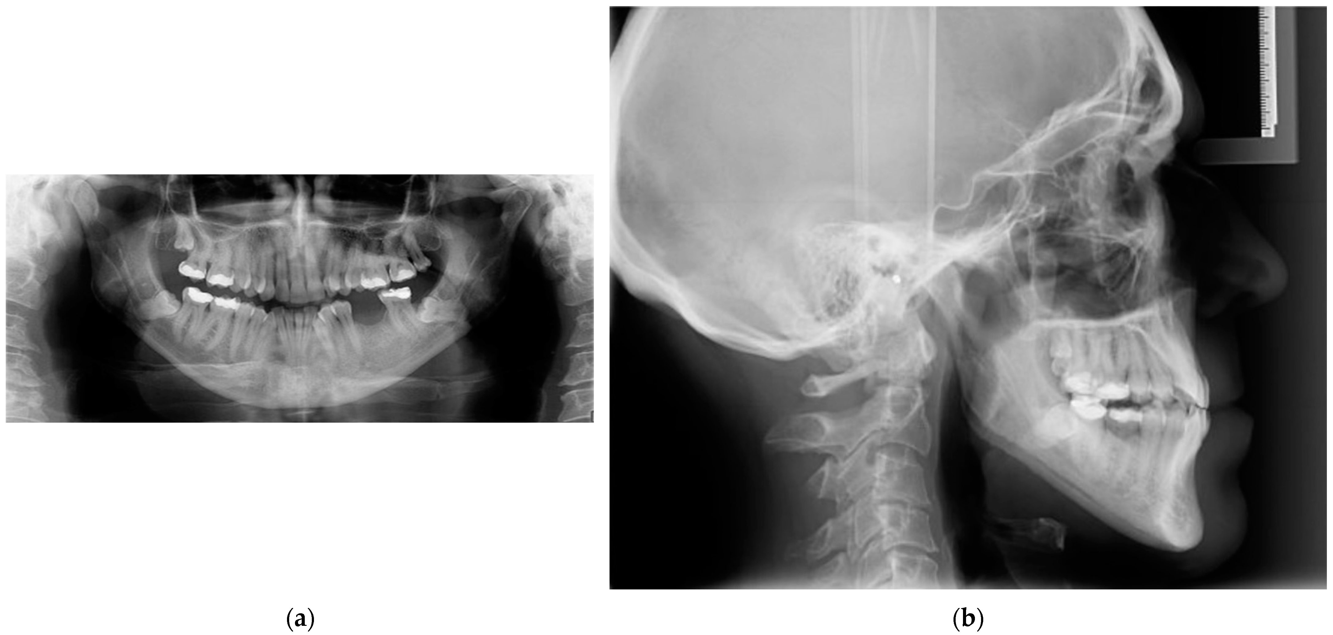 Applsci 13 09198 g002 Applsci 13 09198 g002