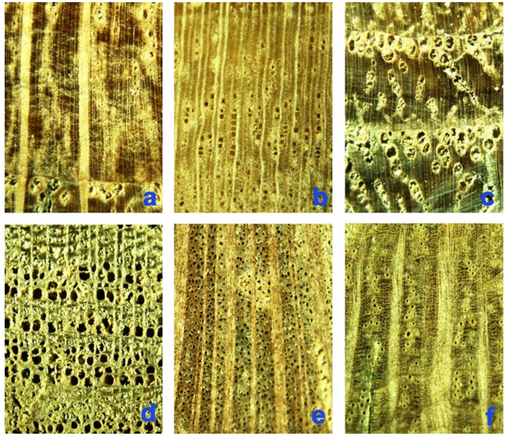 Applsci 13 09216 g010