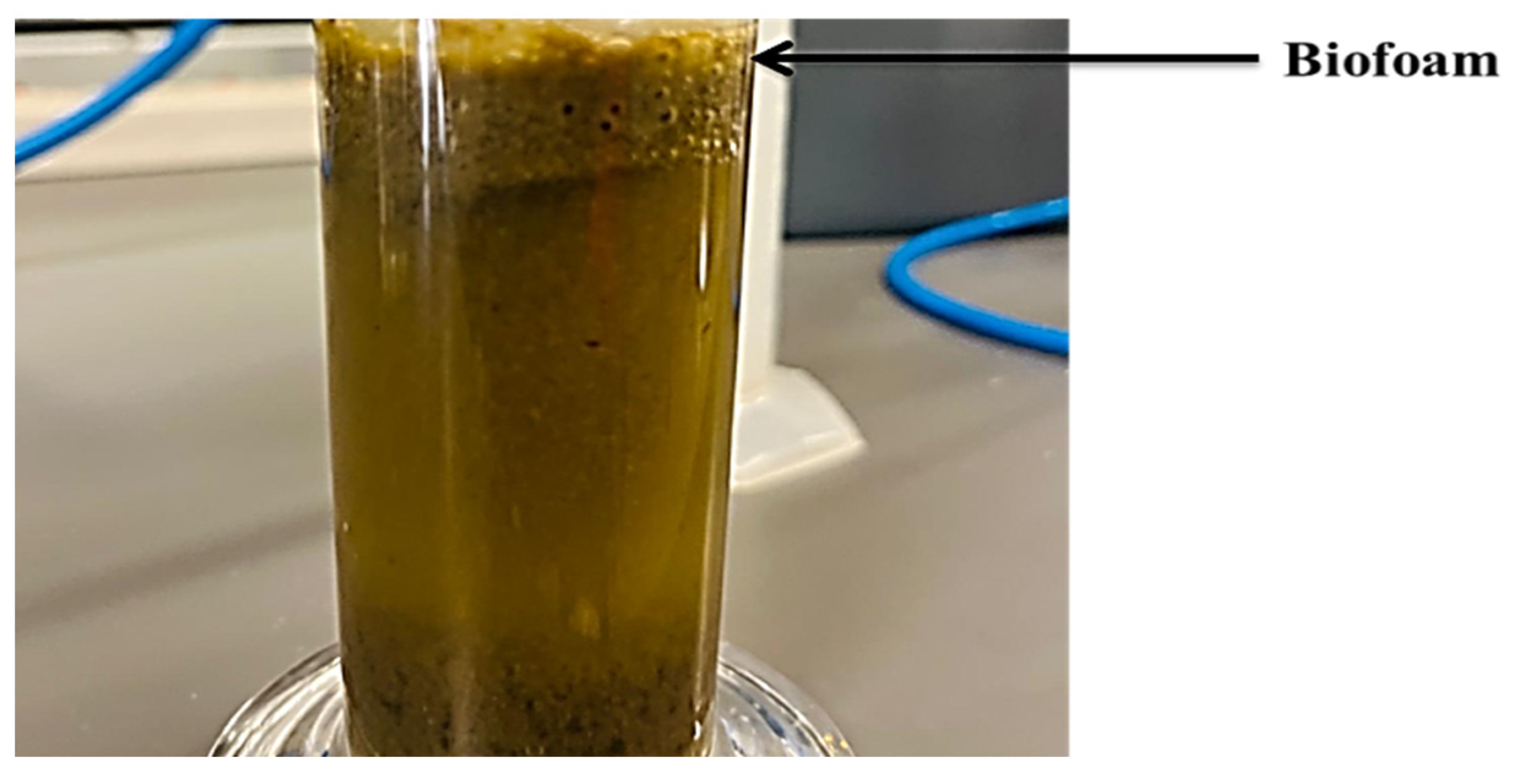 Applsci 13 09225 g002 Applsci 13 09225 g002