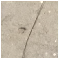 Applsci 13 09238 i021 Applsci 13 09238 i021