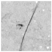 Applsci 13 09238 i023 Applsci 13 09238 i023