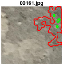 Applsci 13 09238 i053 Applsci 13 09238 i053