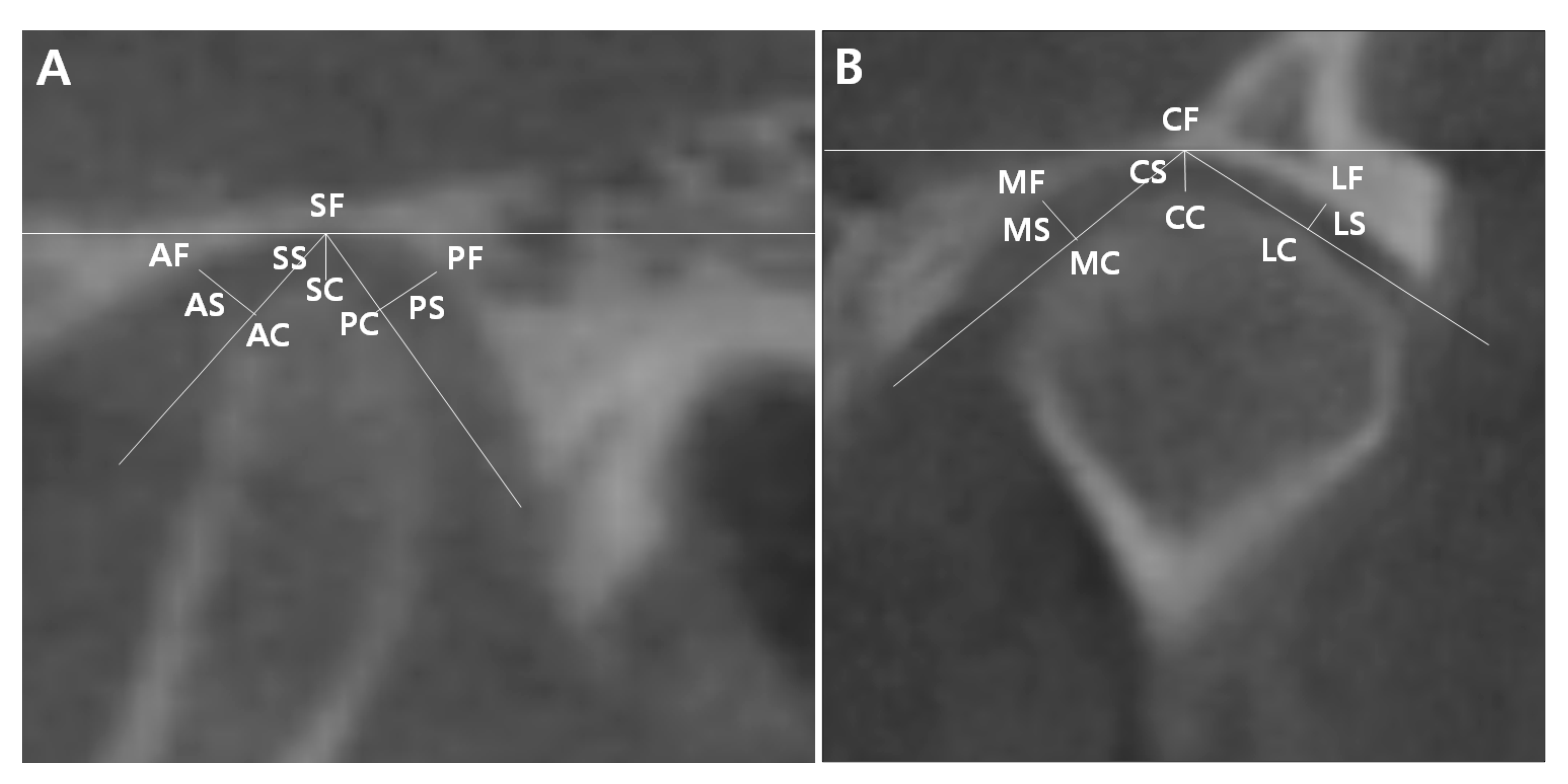 Applsci 13 09241 g003