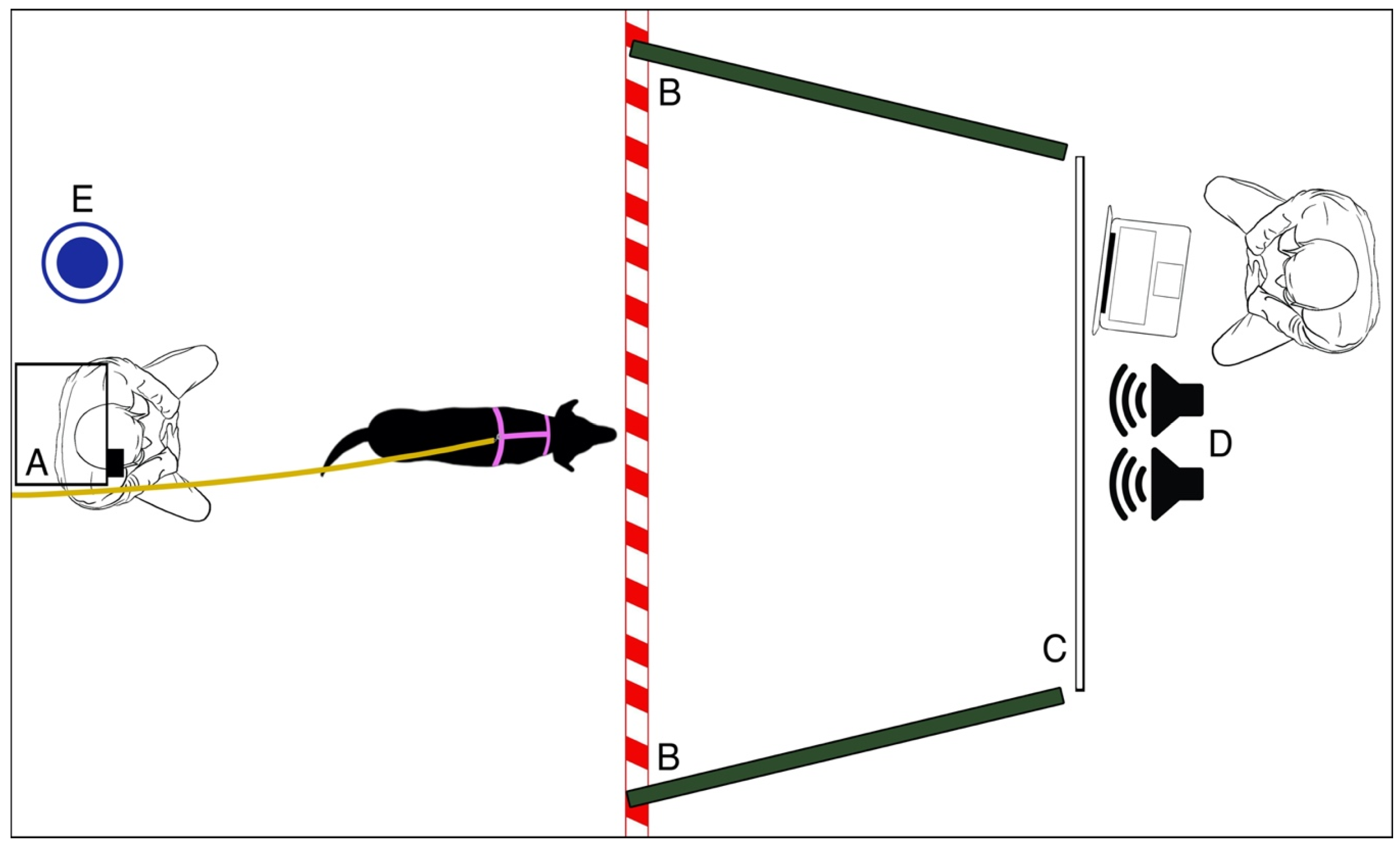 Applsci 13 09254 g001