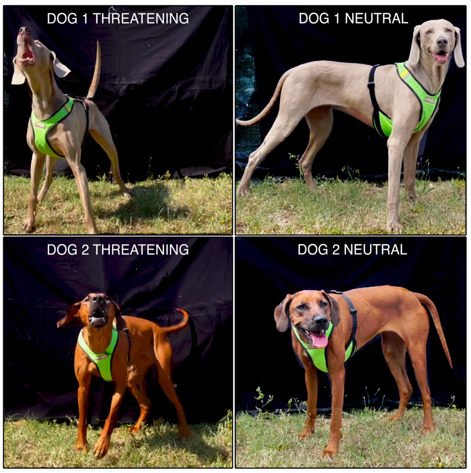 Applsci 13 09254 g002