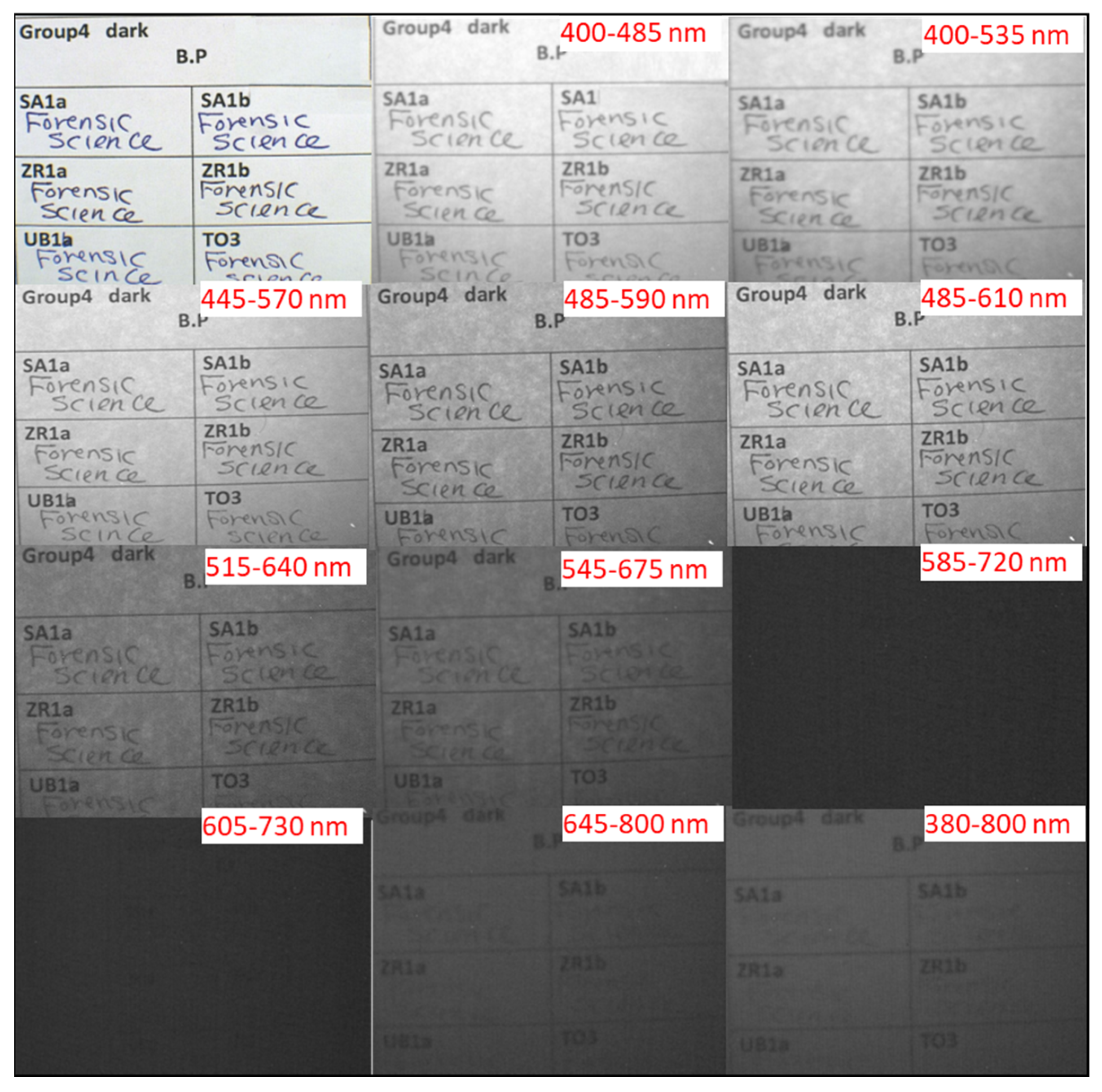 Applsci 13 09300 g004