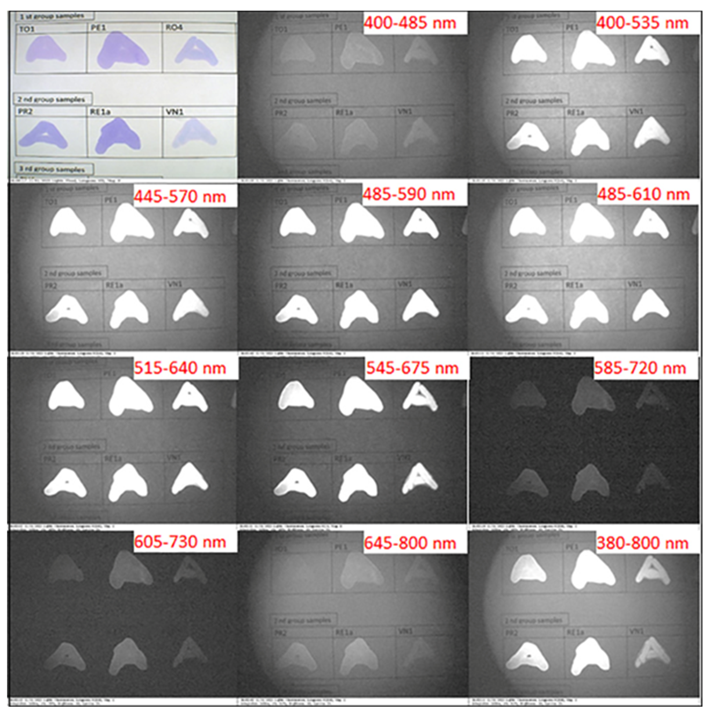 Applsci 13 09300 g005