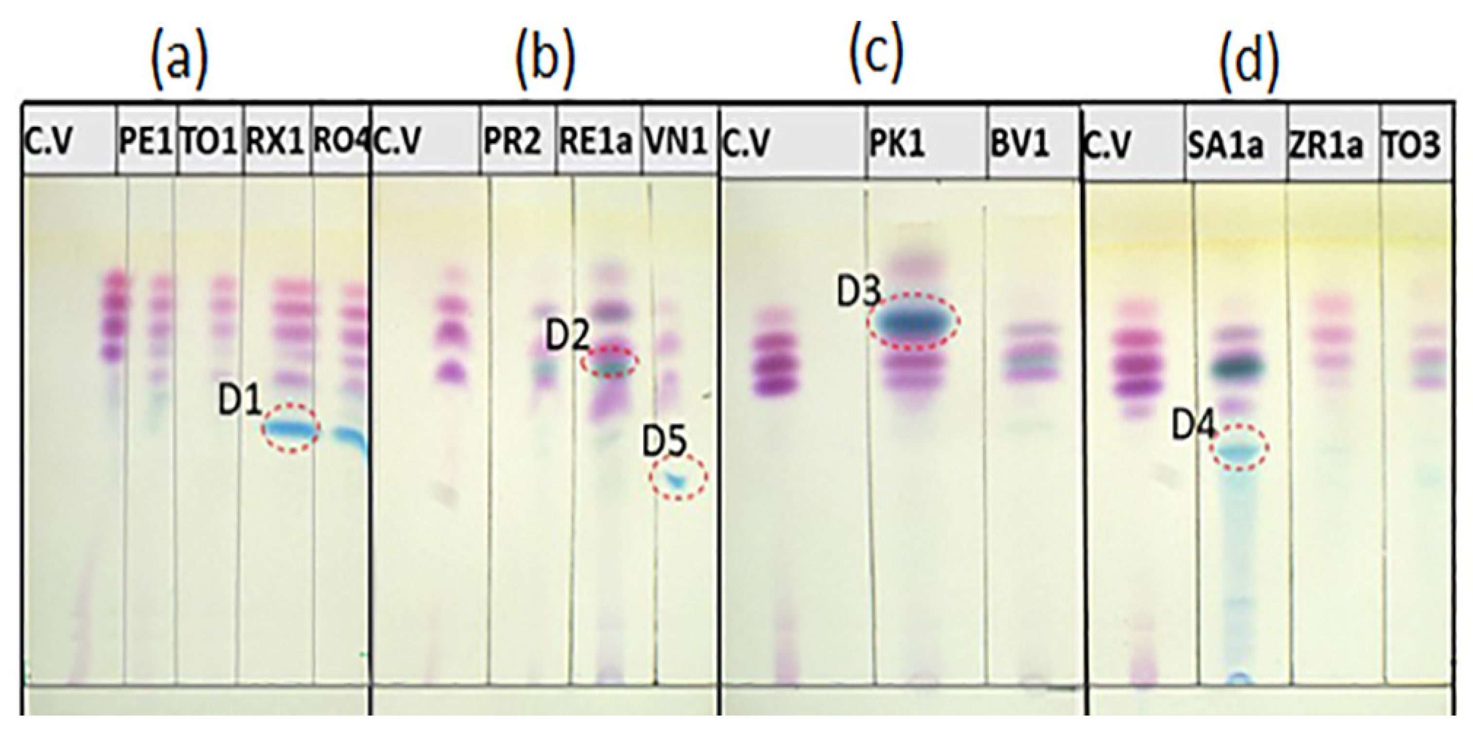 Applsci 13 09300 g007