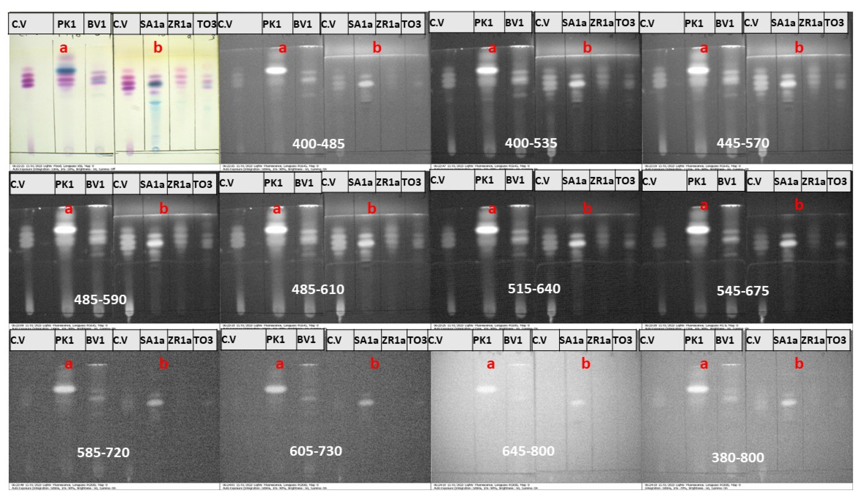Applsci 13 09300 g009