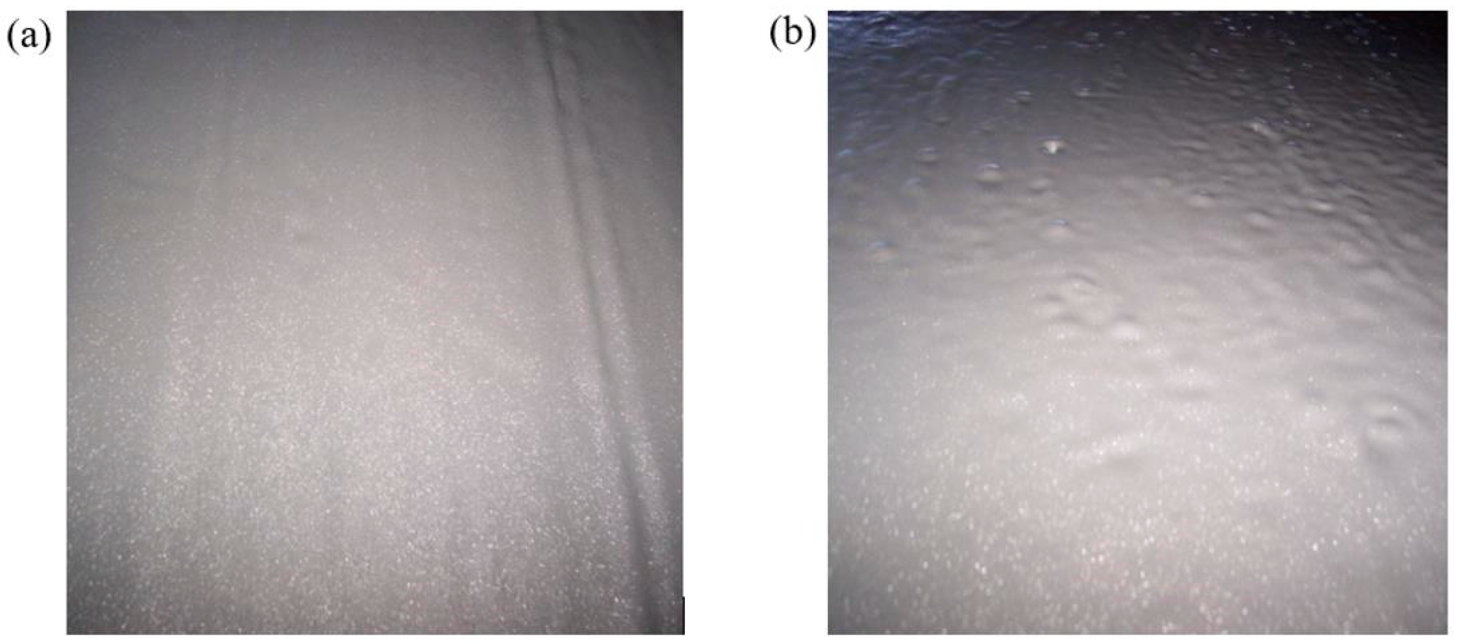 Applsci 13 09302 g010