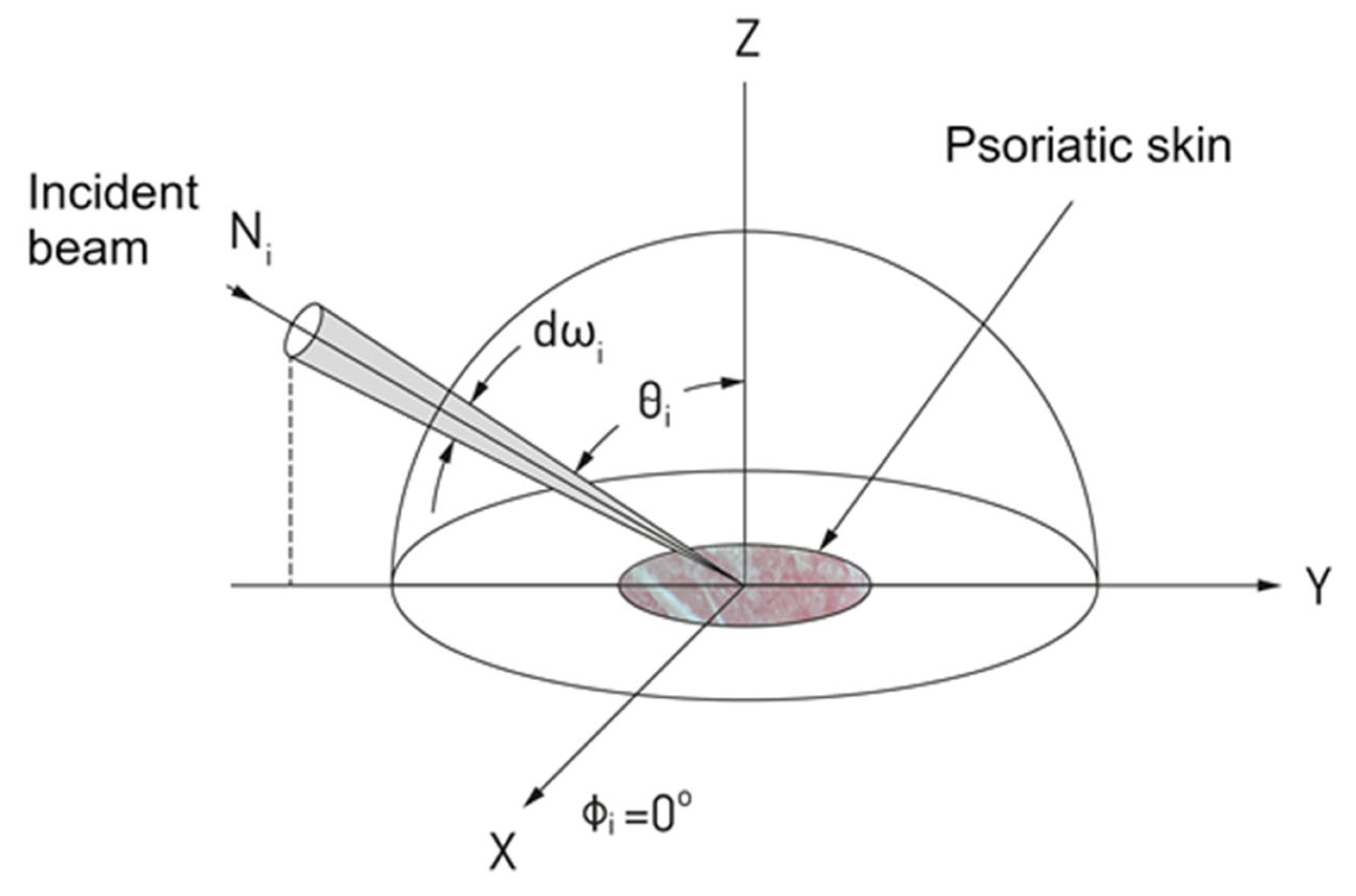 Applsci 13 09311 g001