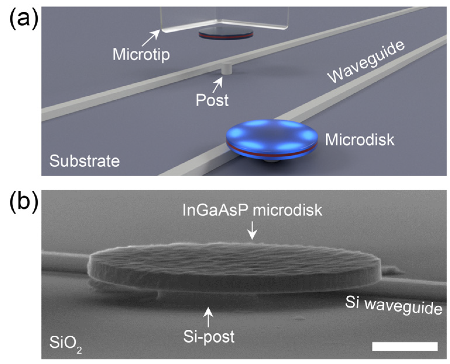 Applsci 13 09329 g001