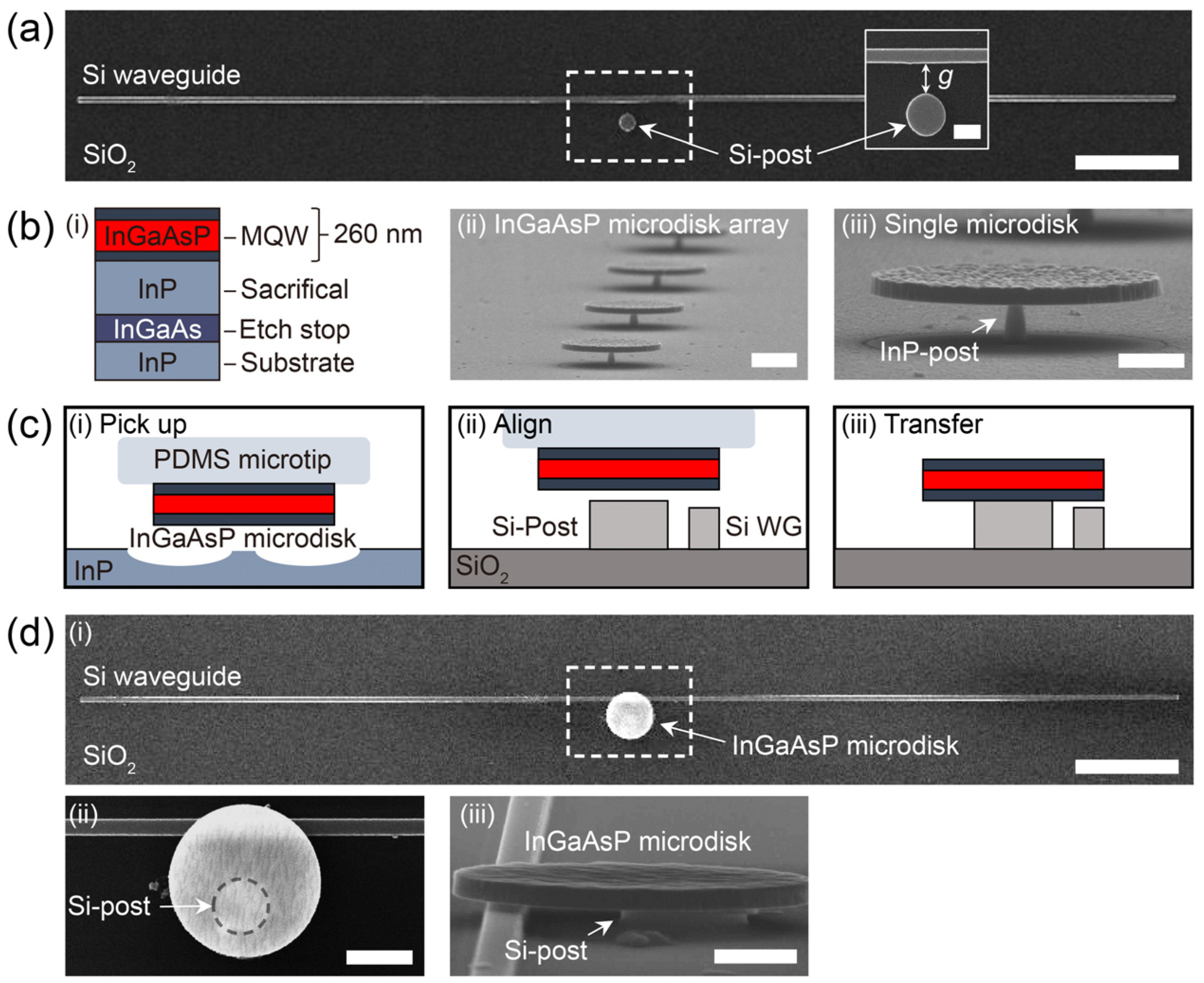 Applsci 13 09329 g002
