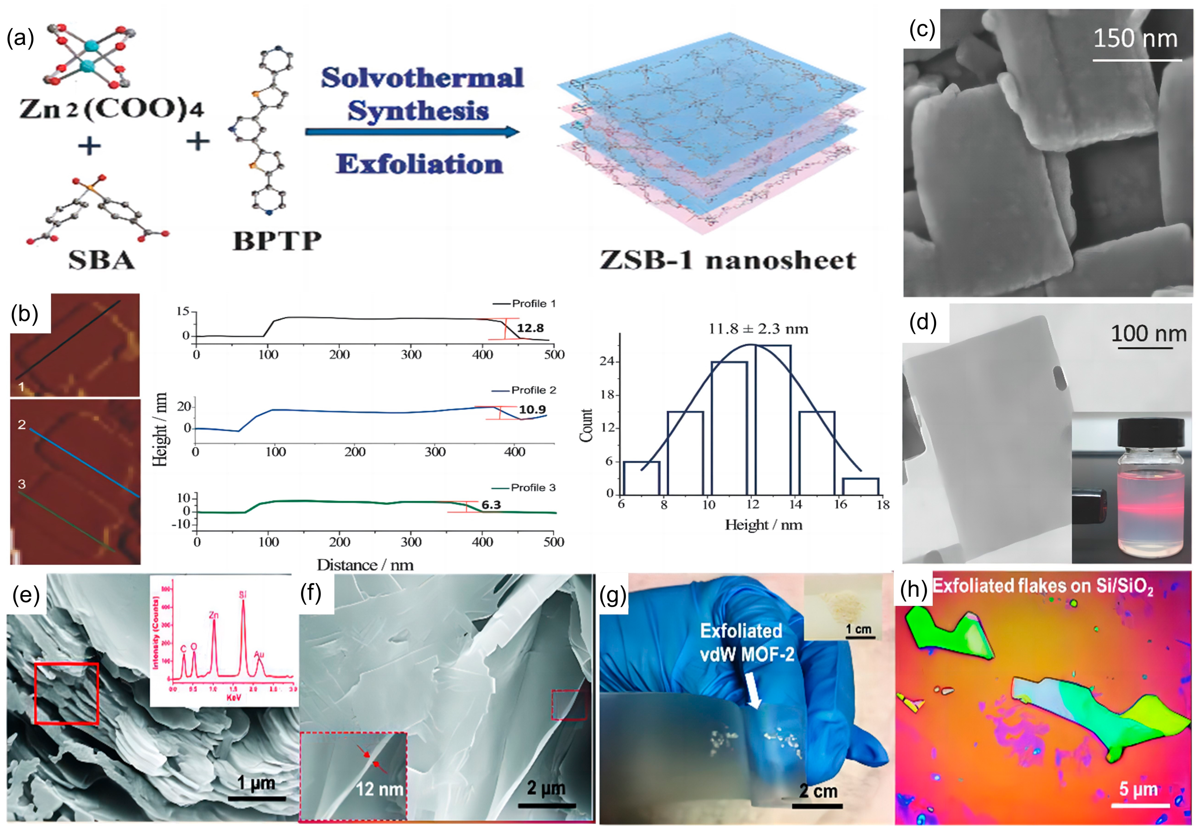 Applsci 13 09343 g001