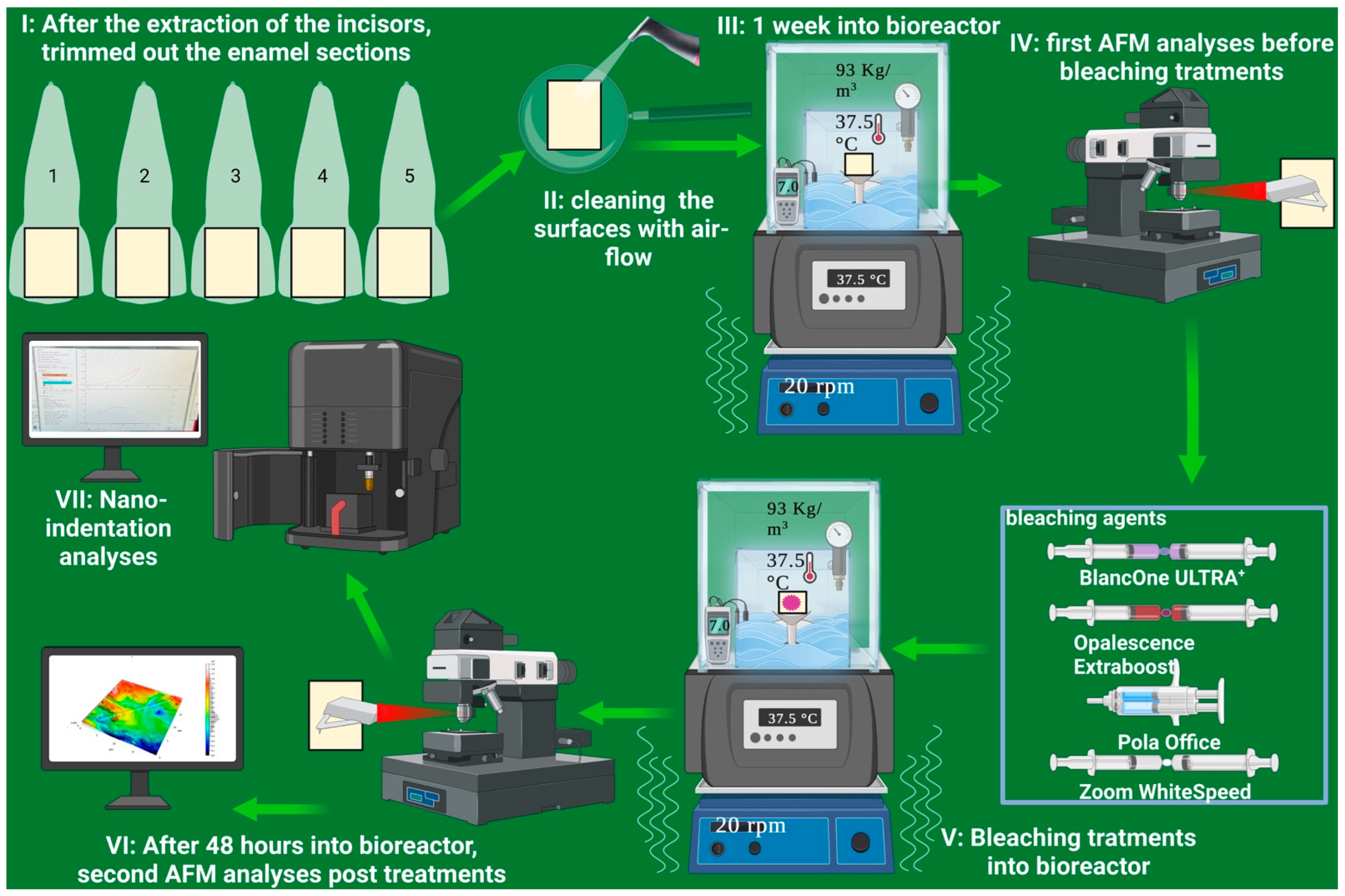 Applsci 13 09371 g002