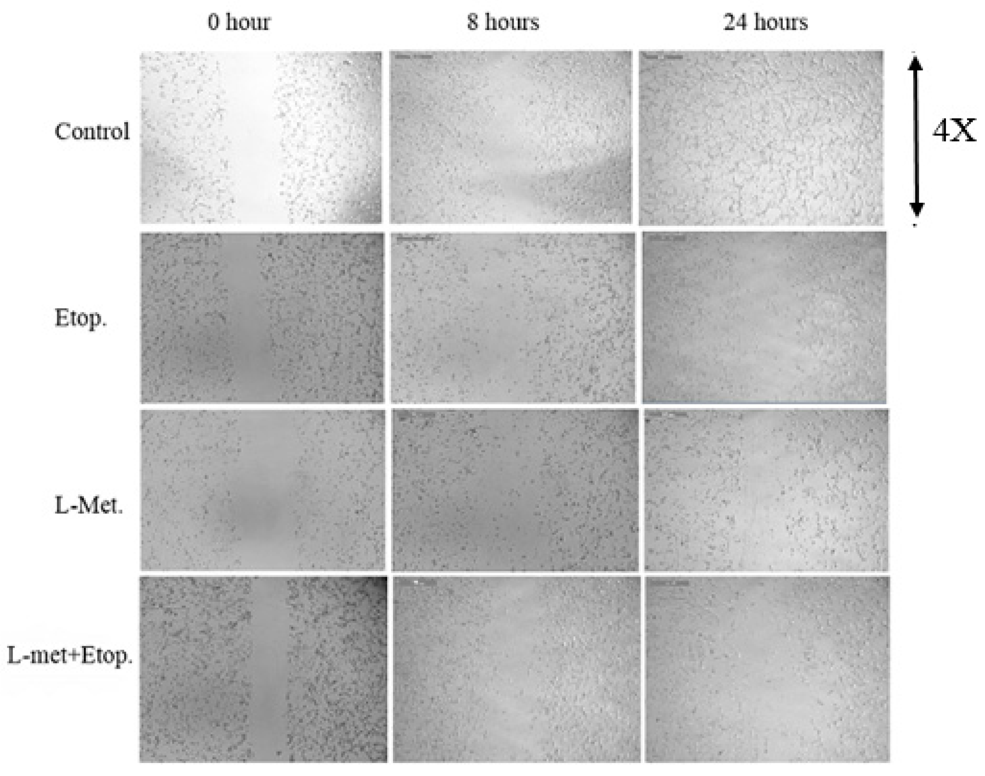 Applsci 13 09382 g007