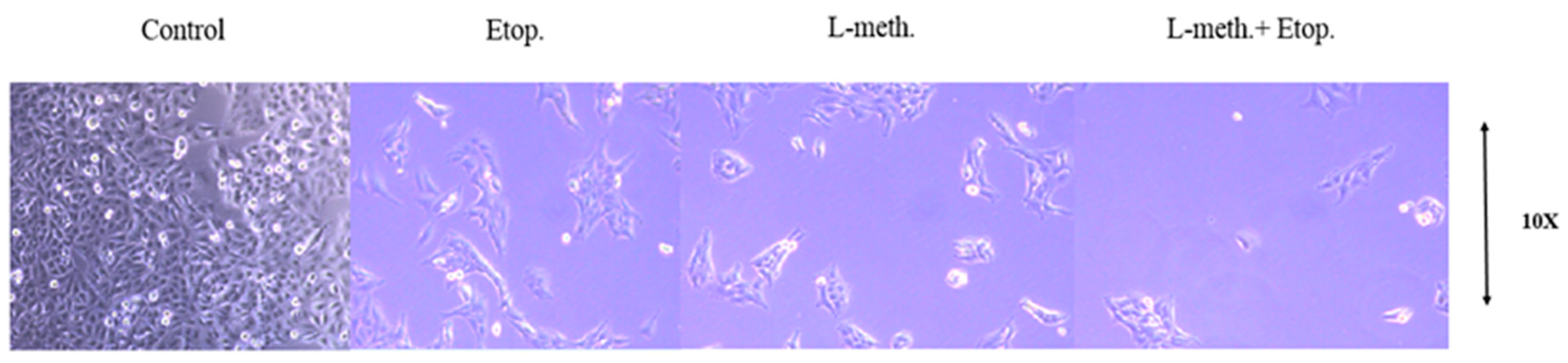 Applsci 13 09382 g018