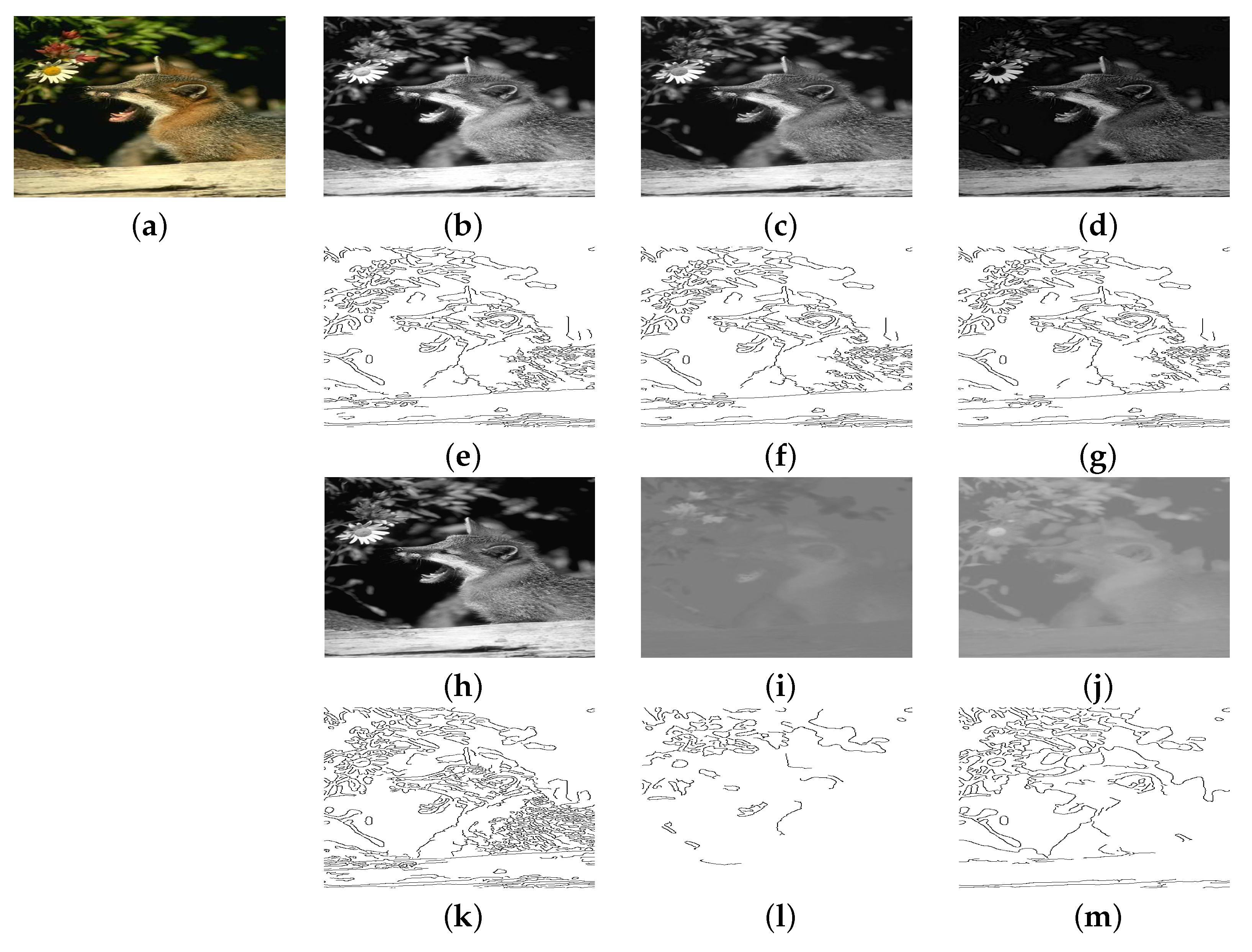 Applsci 13 09409 g008