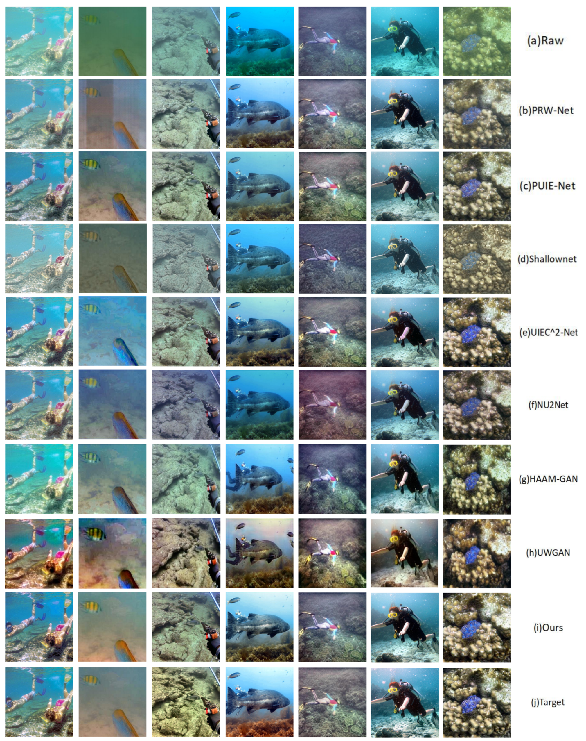 Applsci 13 09419 g004