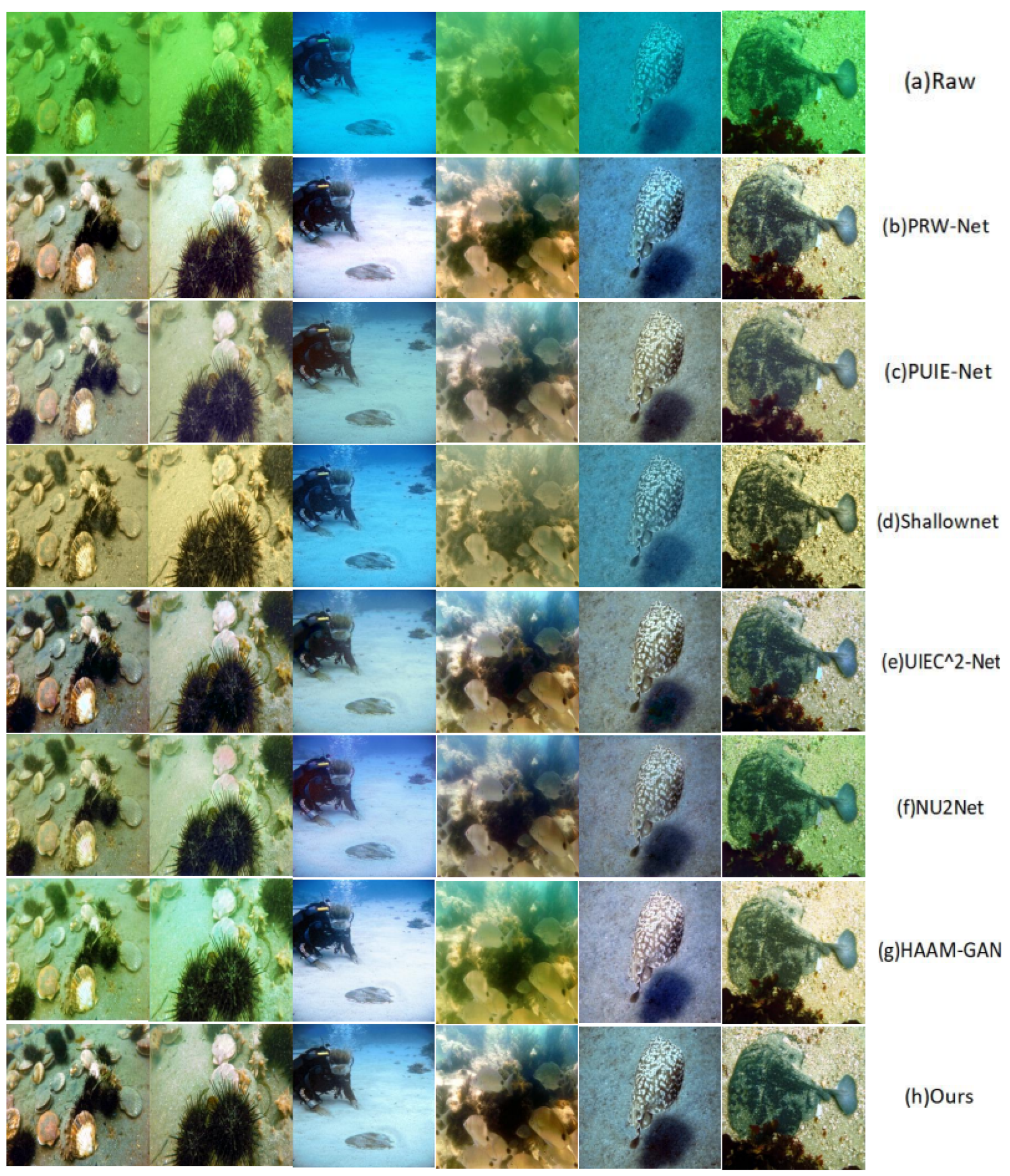 Applsci 13 09419 g005