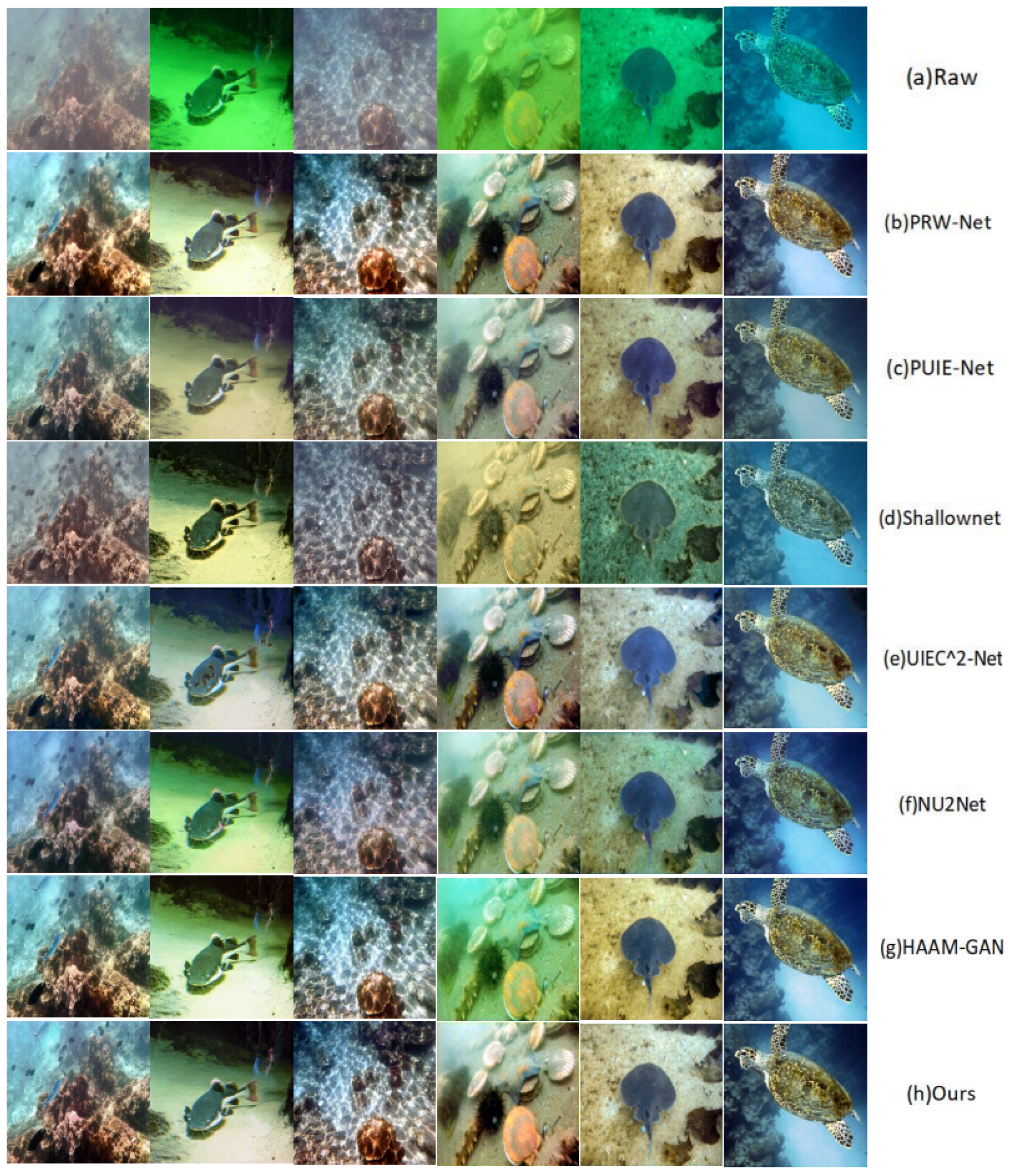 Applsci 13 09419 g006