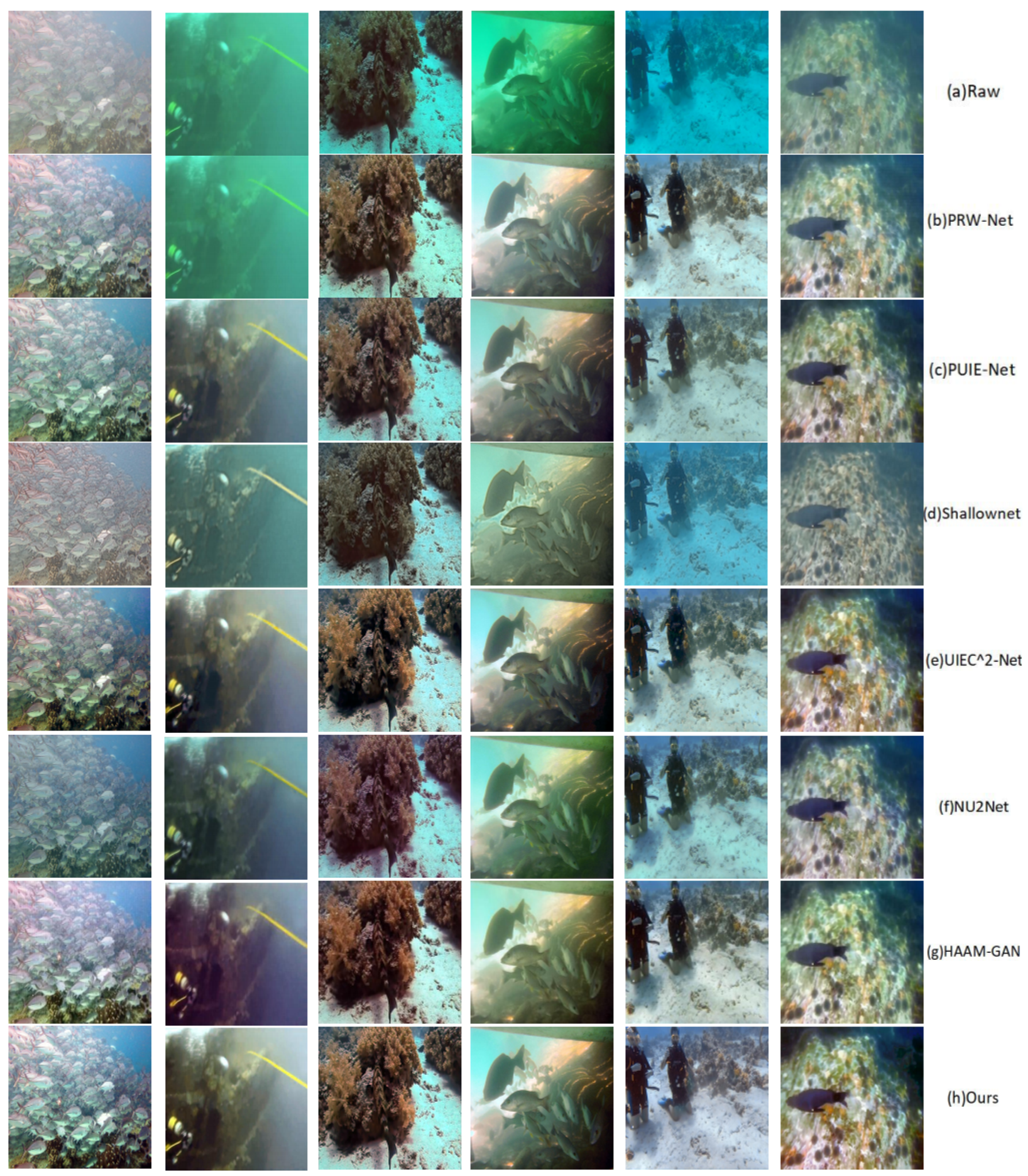 Applsci 13 09419 g007