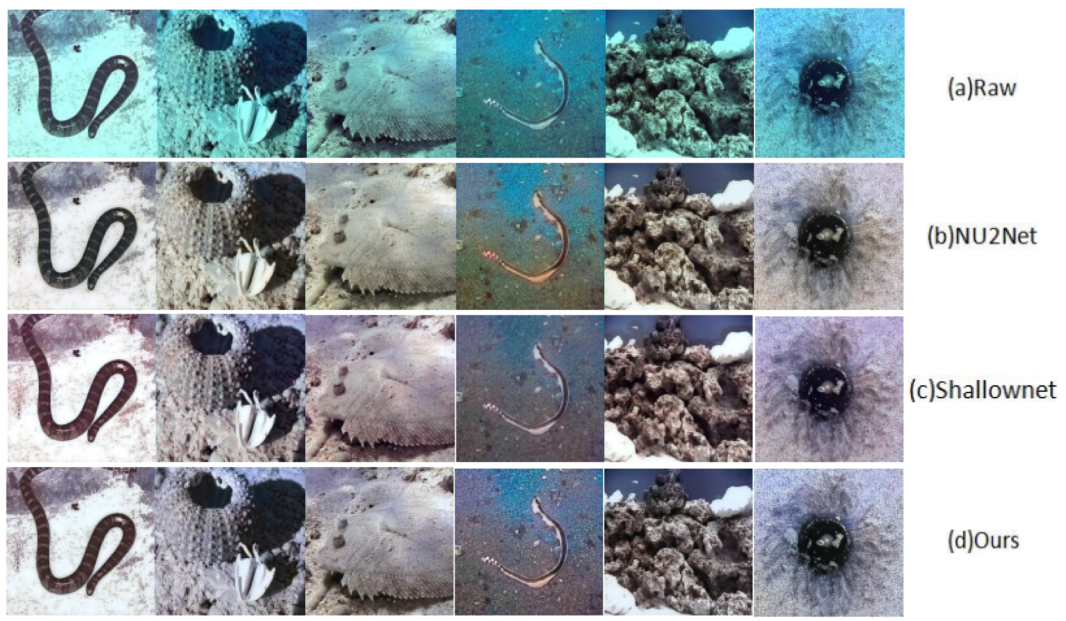 Applsci 13 09419 g008