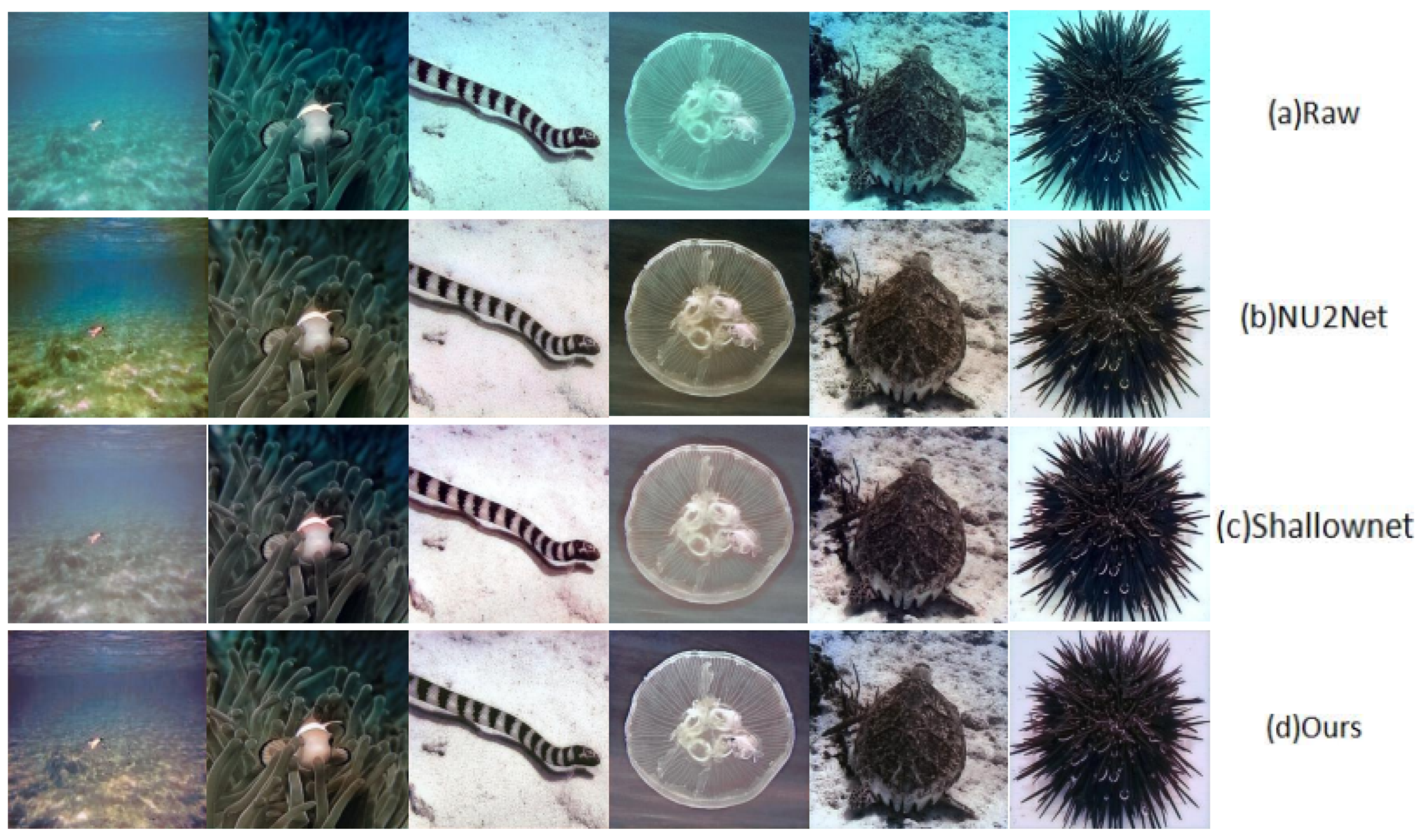 Applsci 13 09419 g009