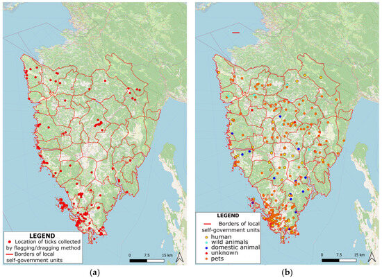 frontiers | geographical distribution and pathogenesis... Investigation and Spatial Distribution of Hard Ticks by Geographical ...