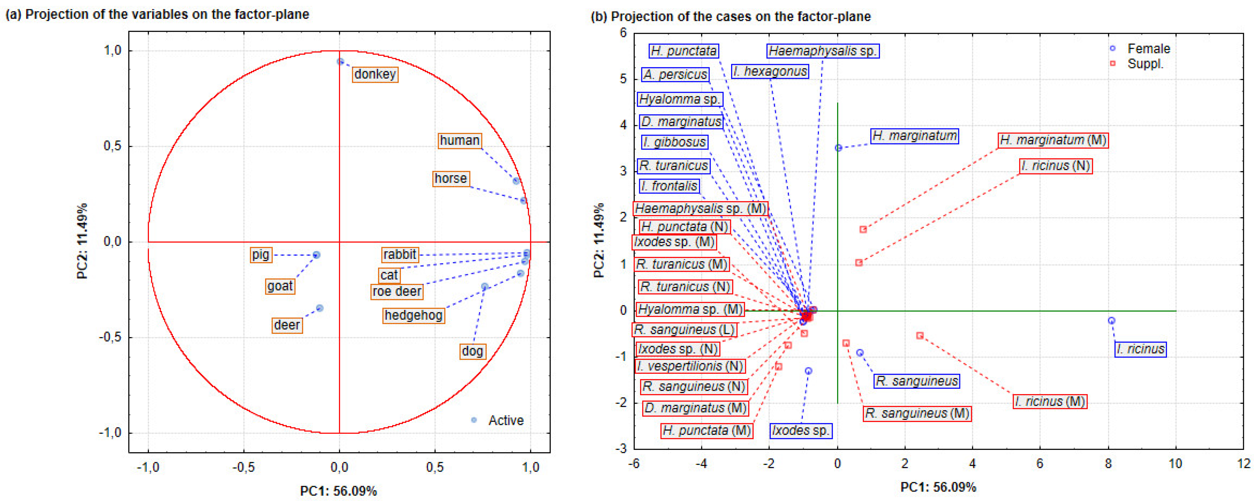 Applsci 13 09483 g004
