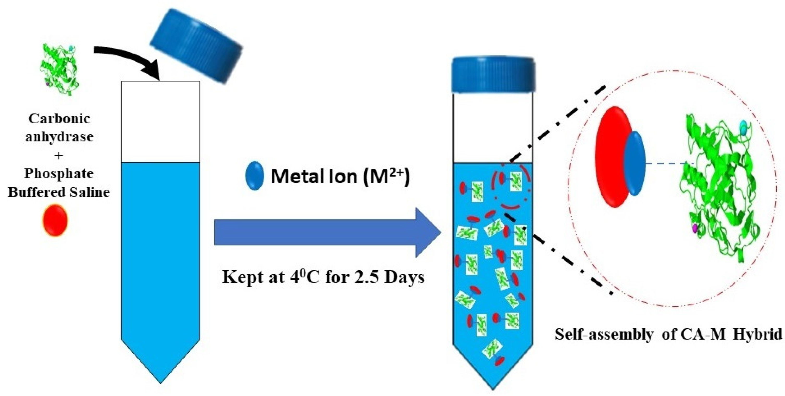 Applsci 13 09494 g002