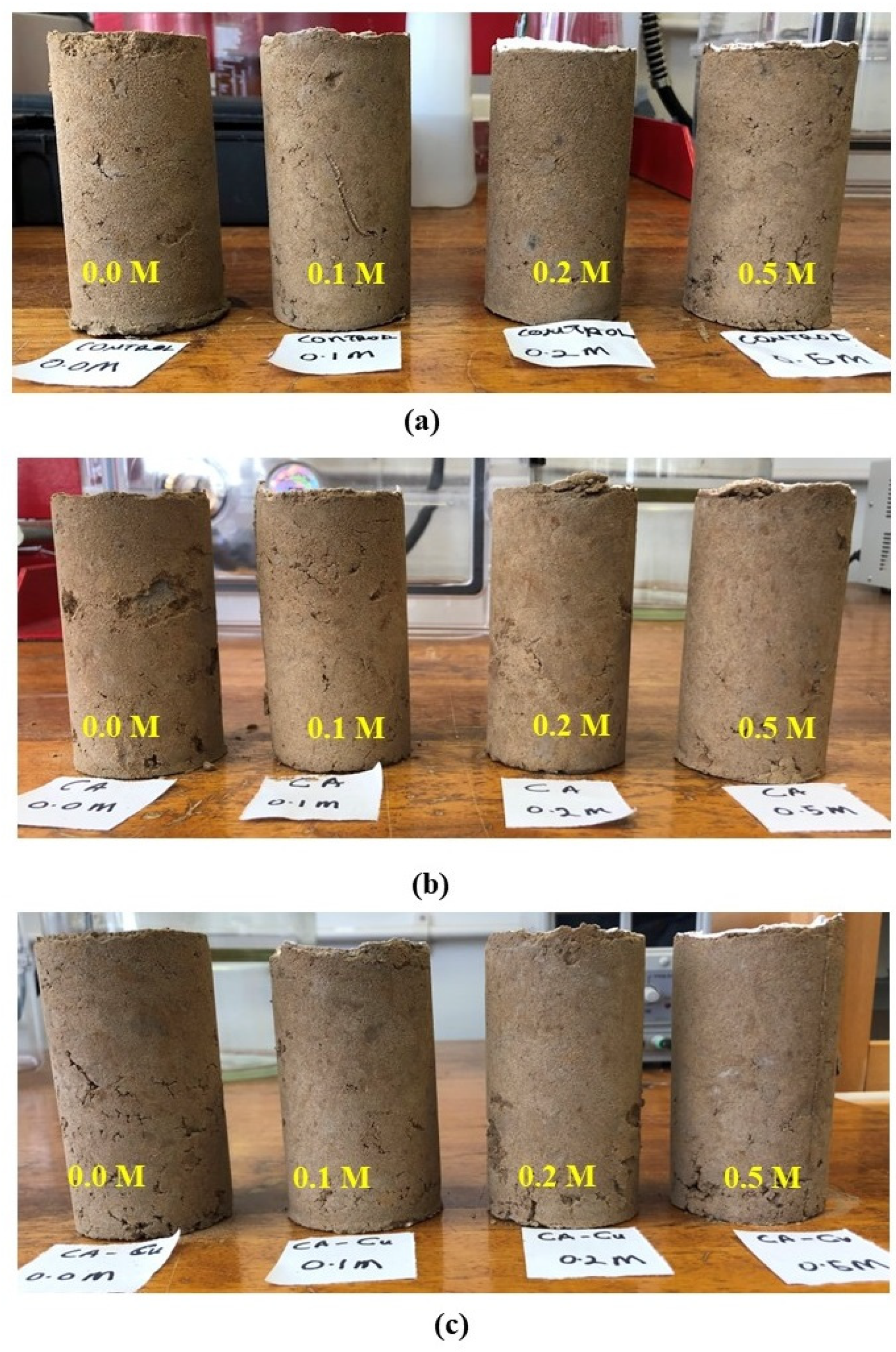 Applsci 13 09494 g009