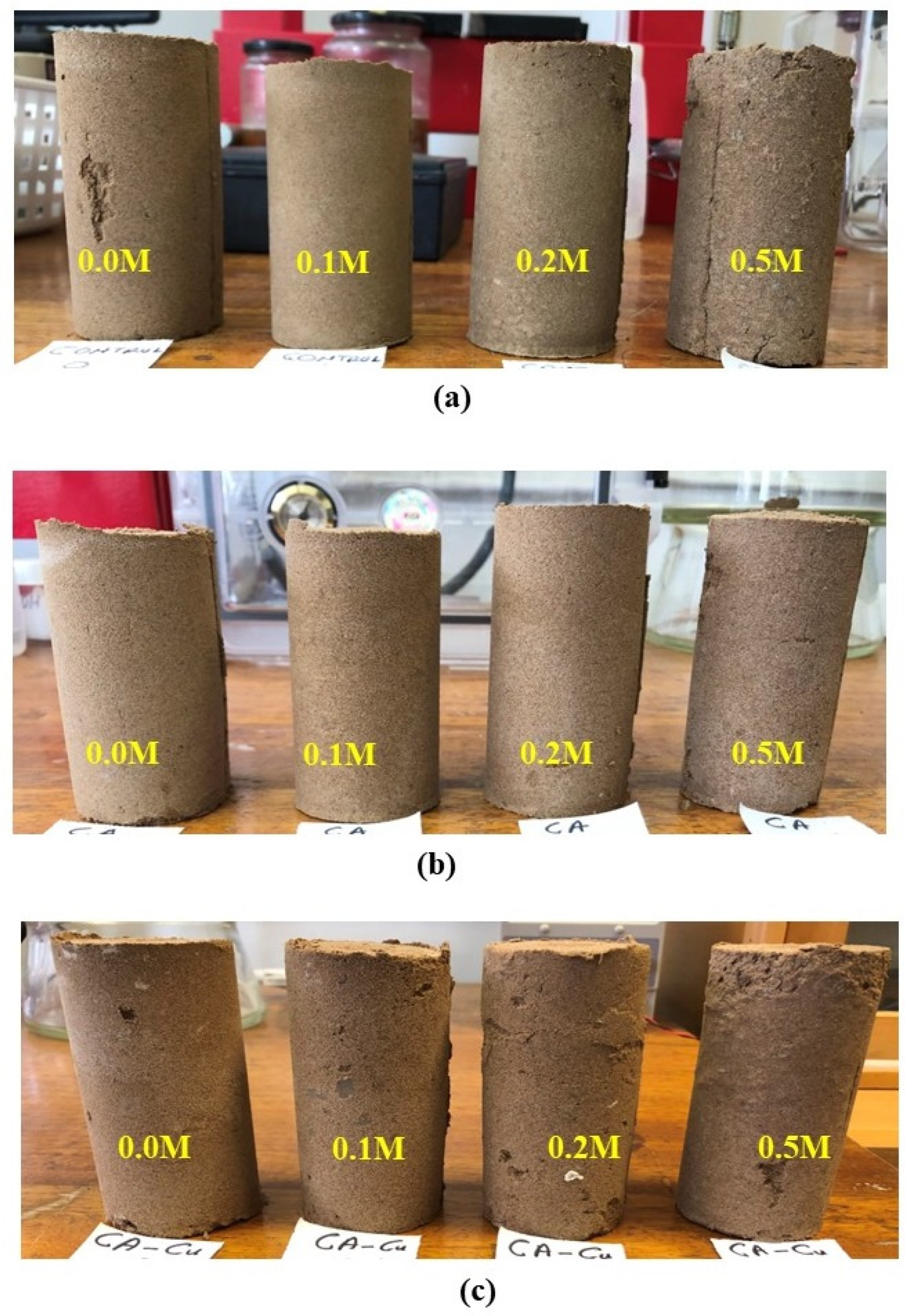 Applsci 13 09494 g010