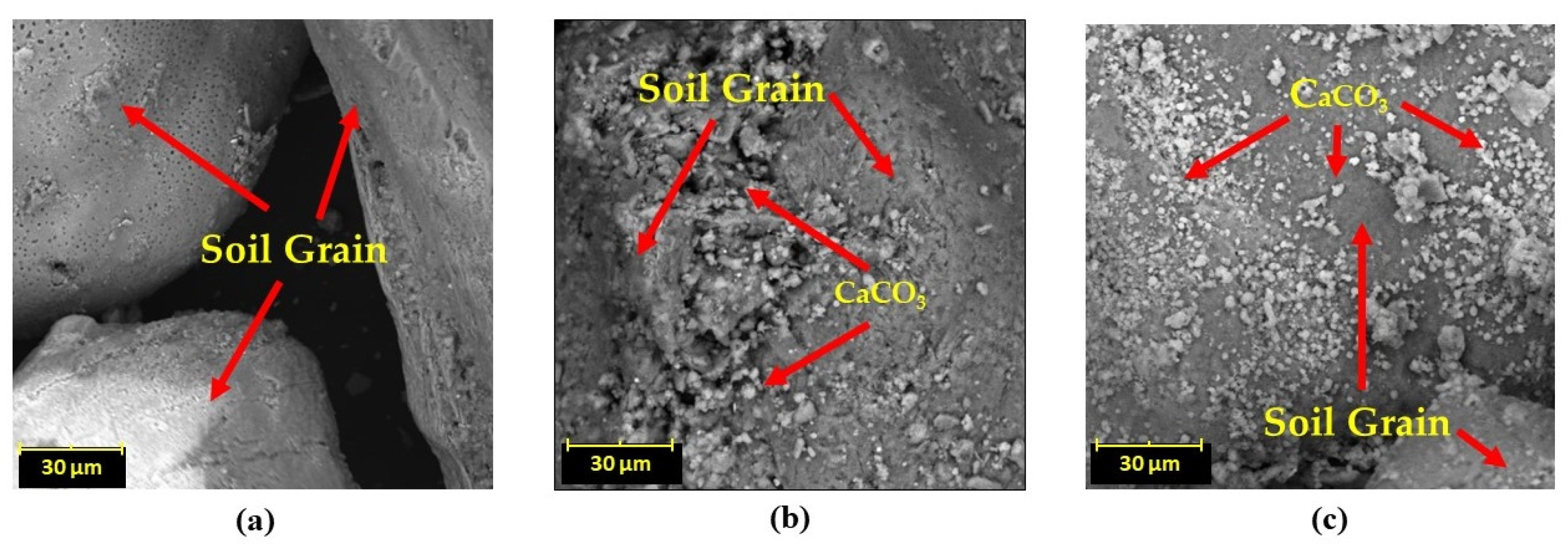 Applsci 13 09494 g011