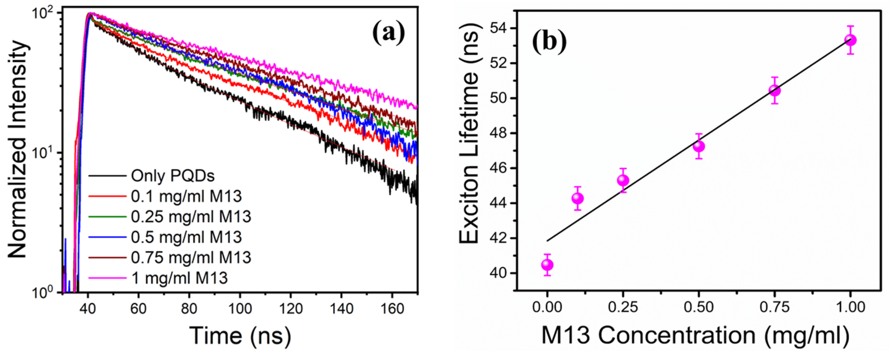 Applsci 13 09495 g004
