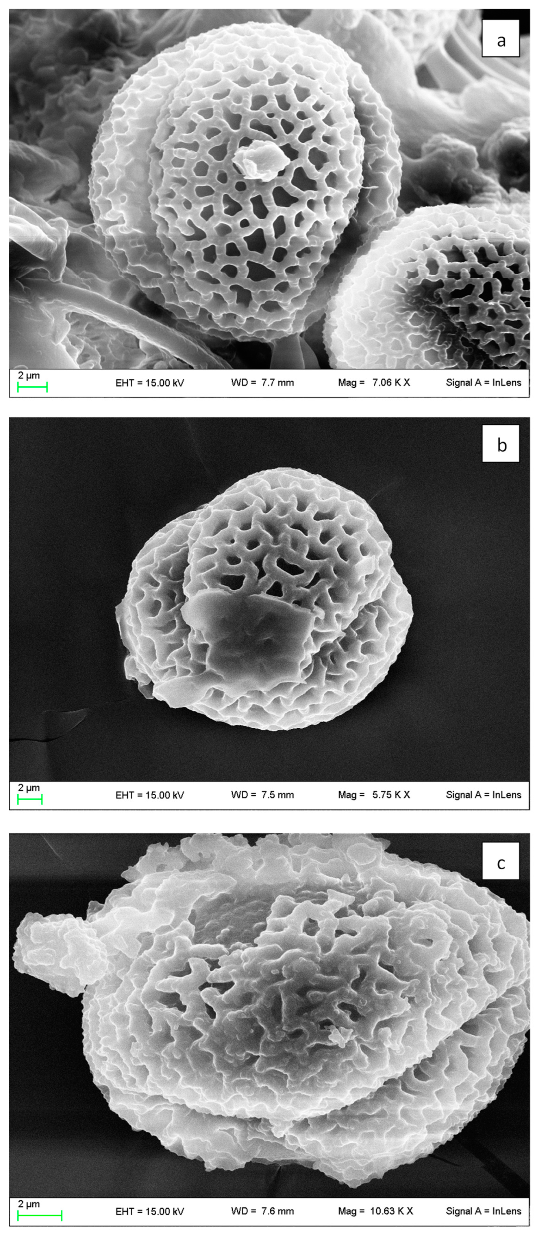 Applsci 13 09541 g003