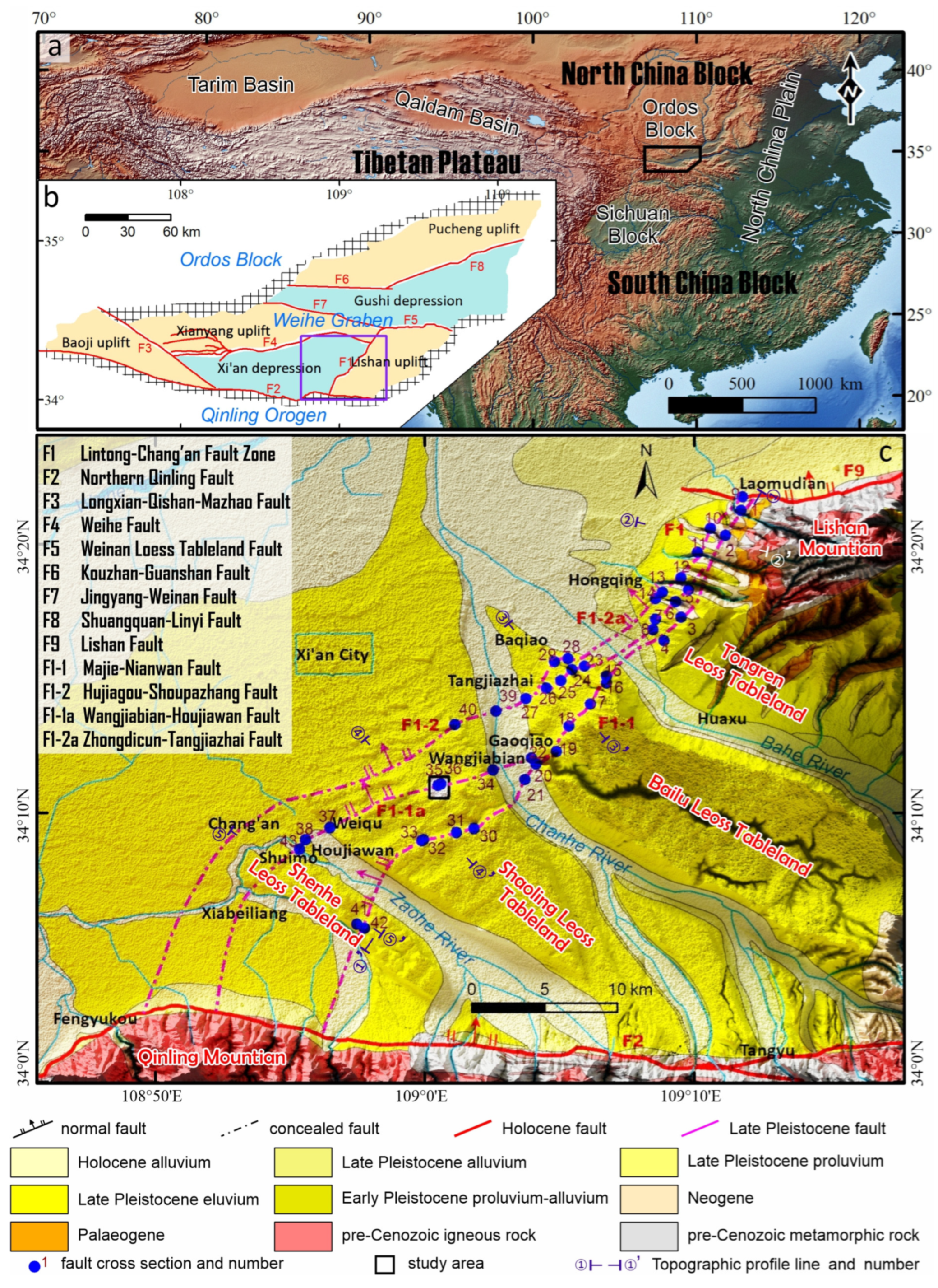 Applsci 13 09558 g001