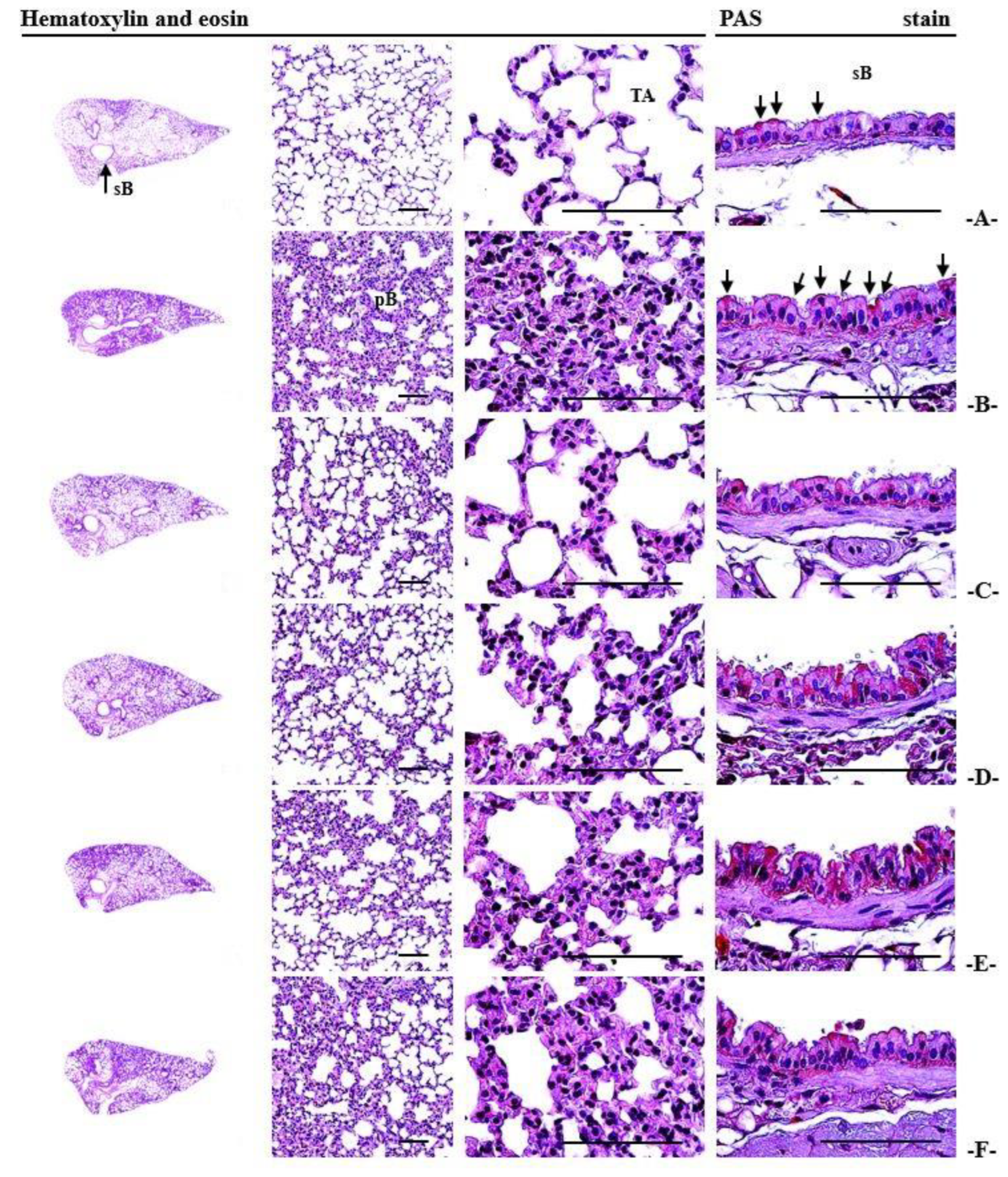 Applsci 13 09578 g007 Applsci 13 09578 g007