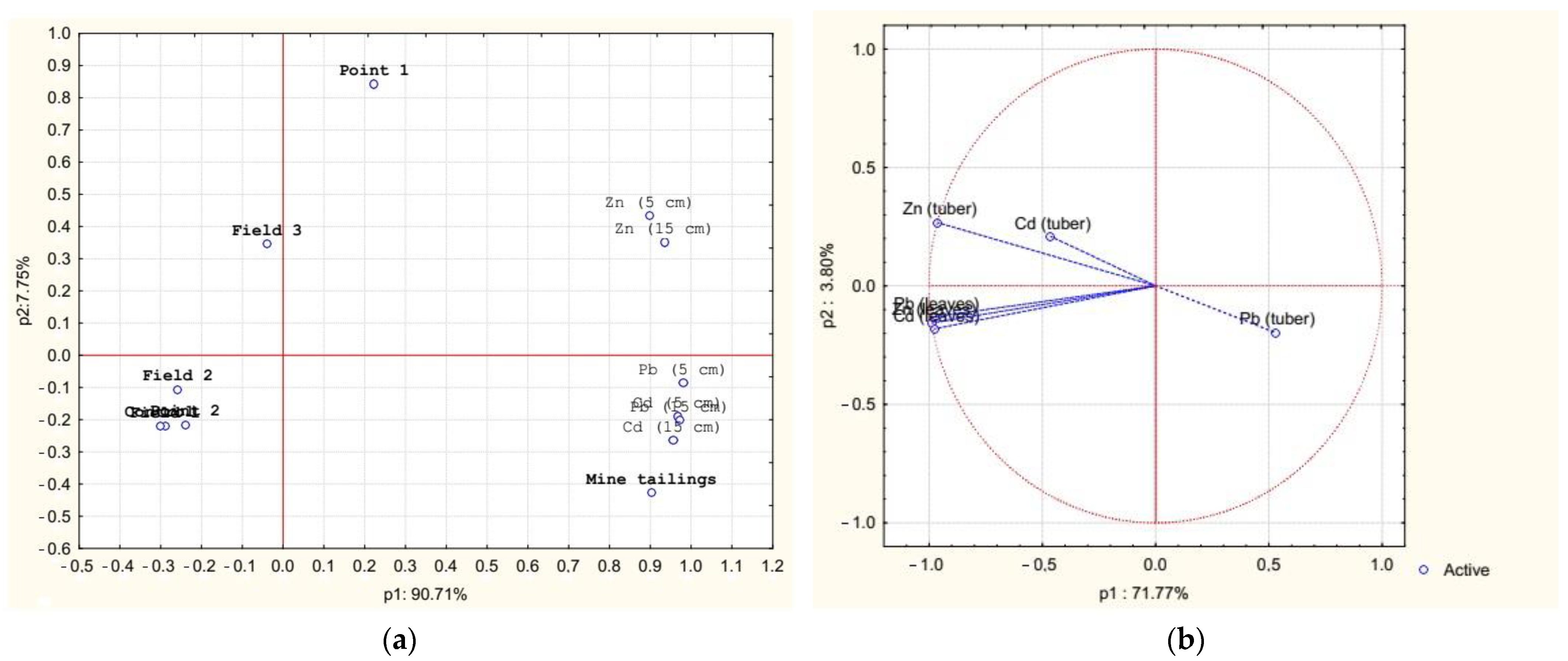 Applsci 13 09589 g005