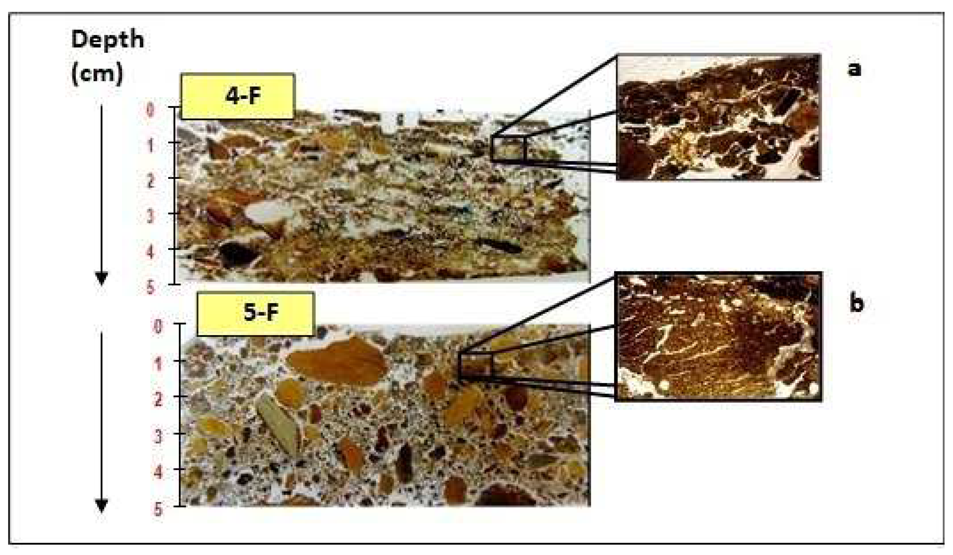 Applsci 13 09592 g002