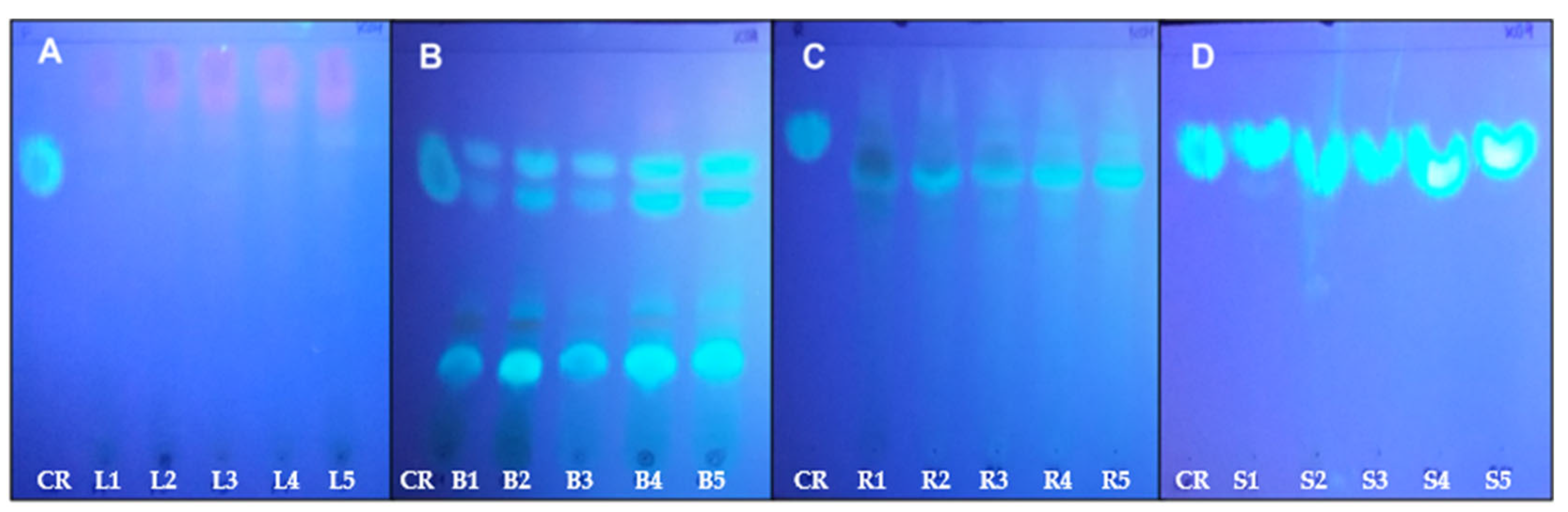Applsci 13 09600 g003