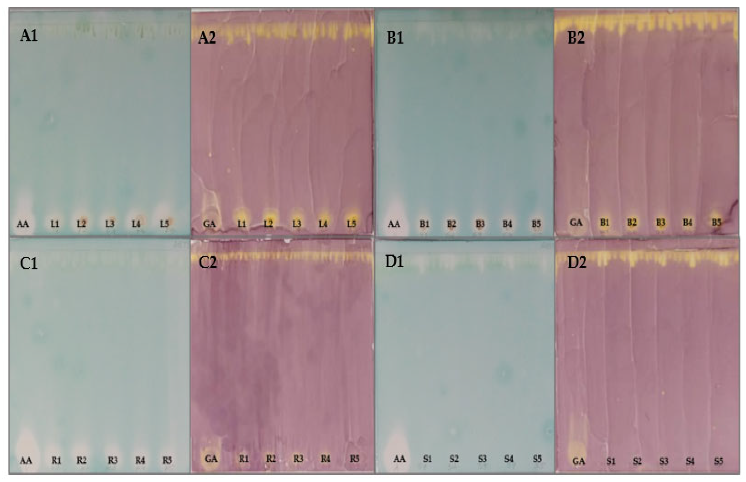 Applsci 13 09600 g004