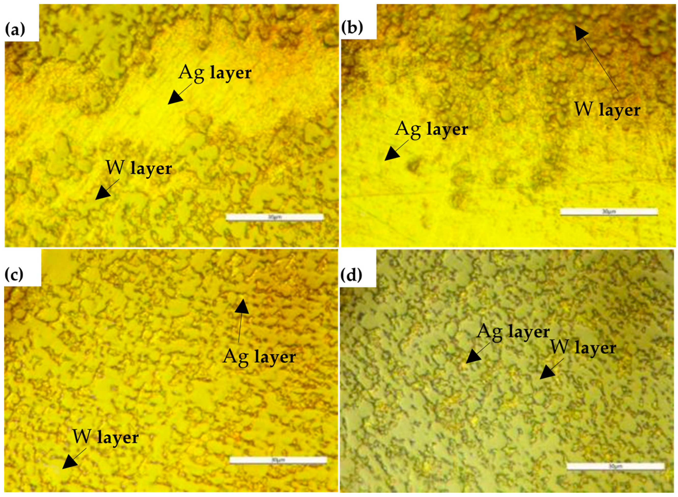 Applsci 13 09608 g009