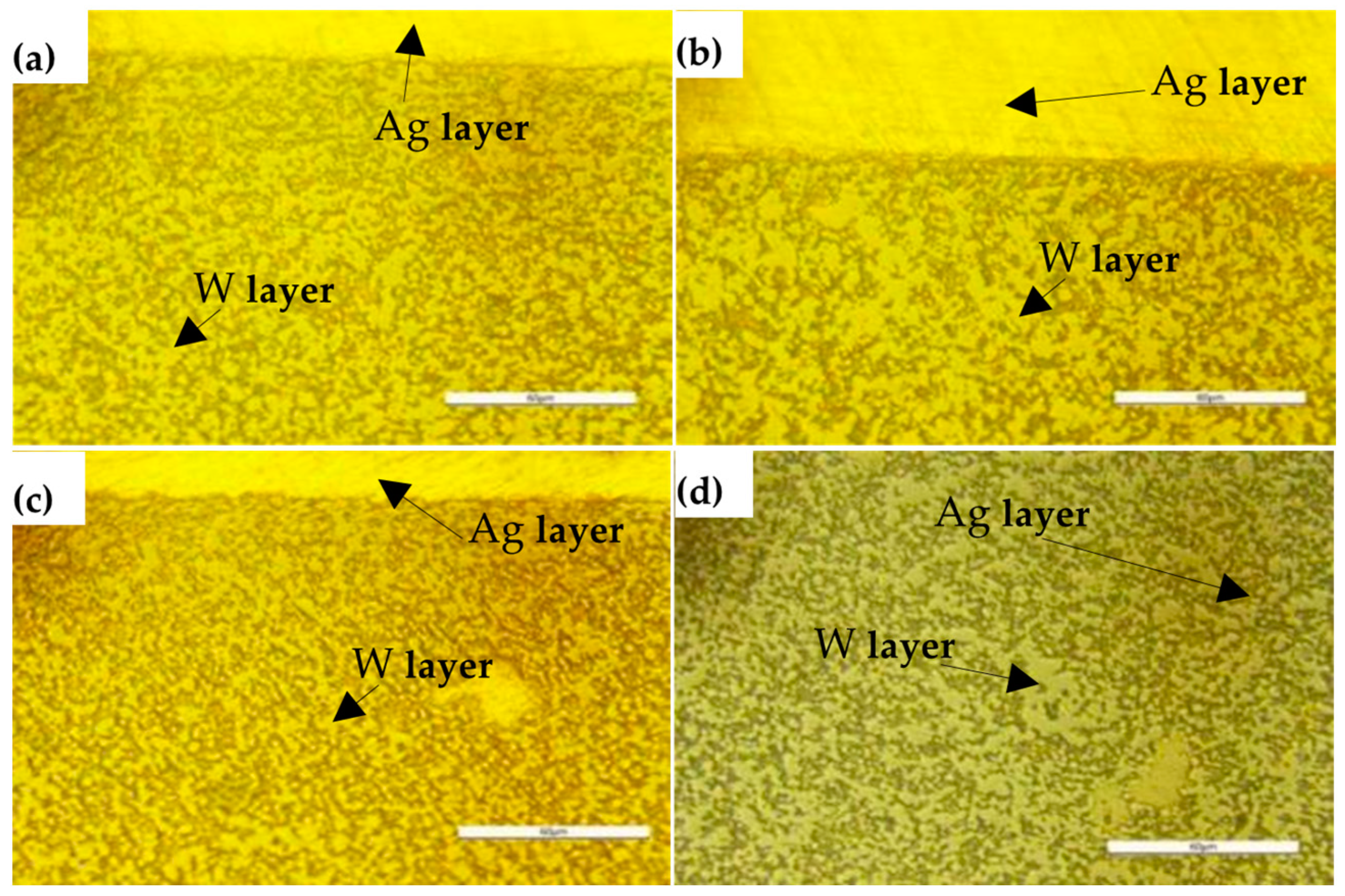 Applsci 13 09608 g010