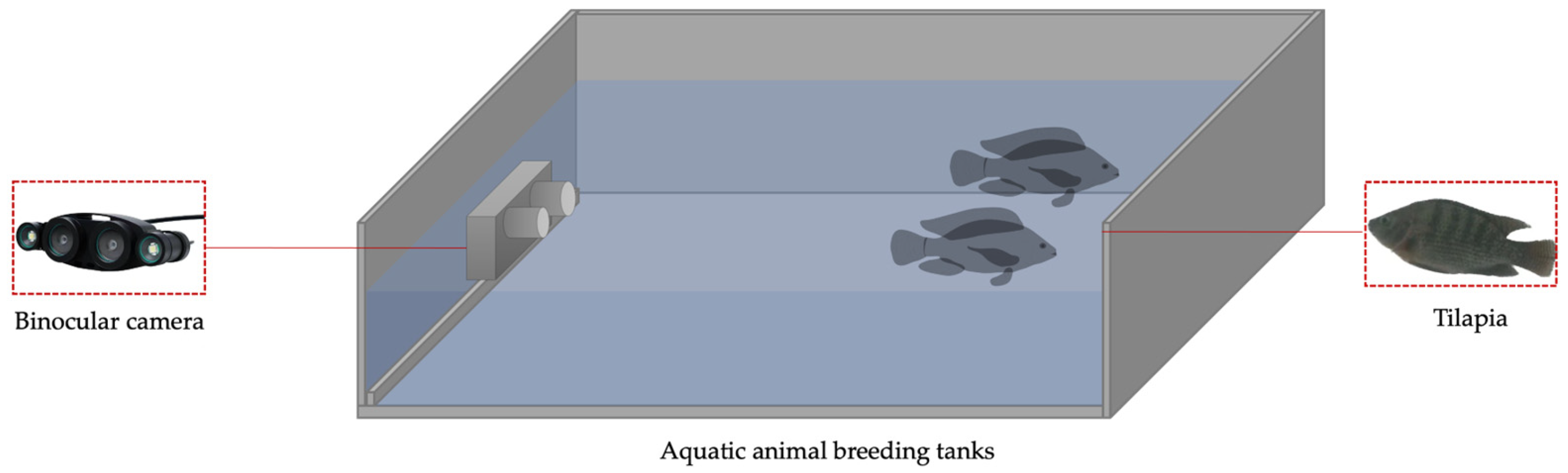 Applsci 13 09635 g001