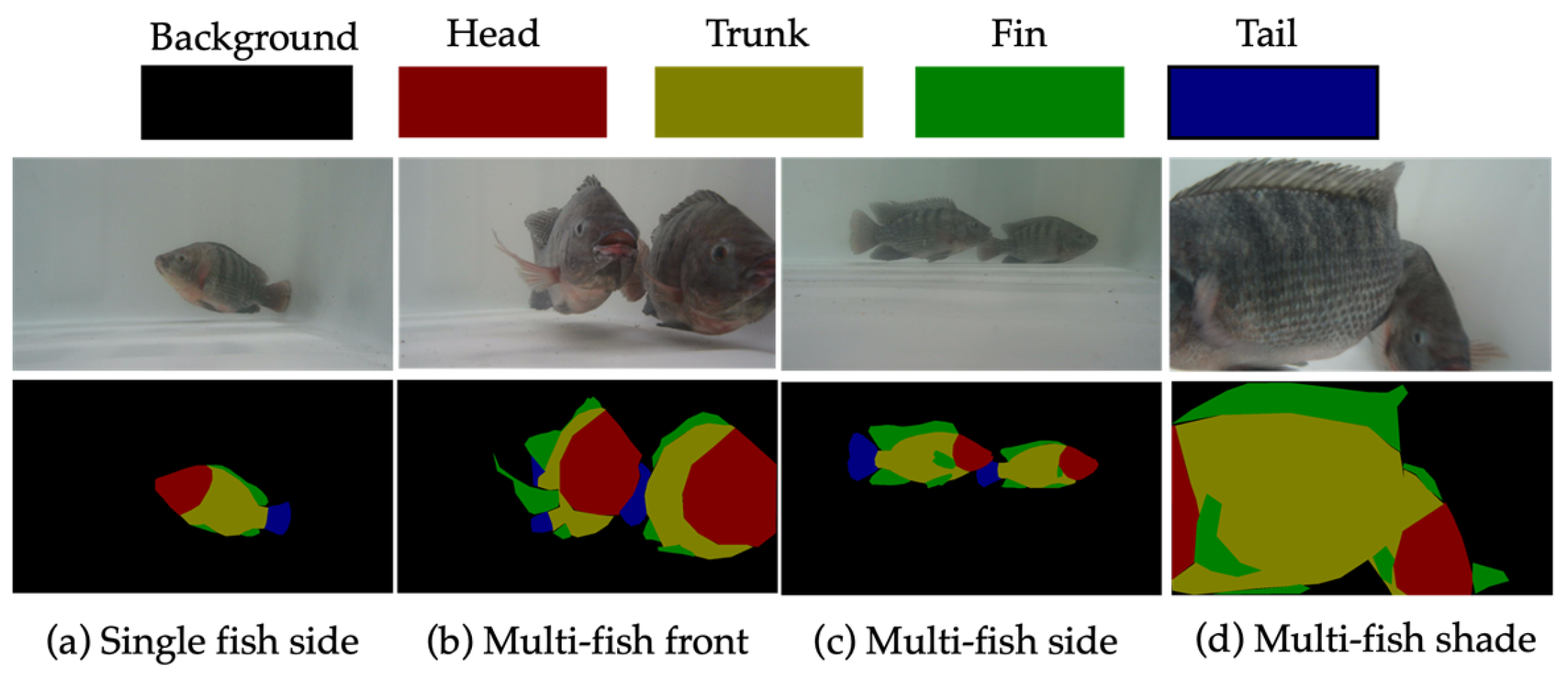 Applsci 13 09635 g004